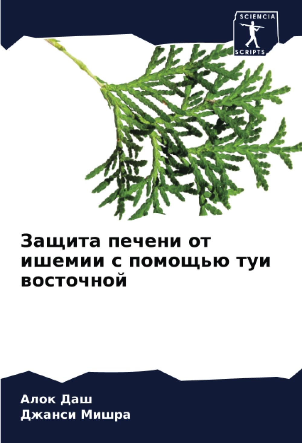 Zaschita pecheni ot ishemii s pomosch'ü tui wostochnoj Medicine