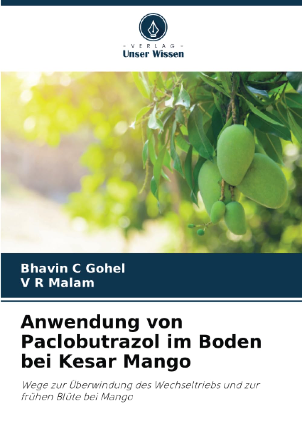 Anwendung von Paclobutrazol im Boden bei Kesar Mango: Wege zur Überwindung des Wechseltriebs und zur frühen Blüte bei Mango Media & Communication