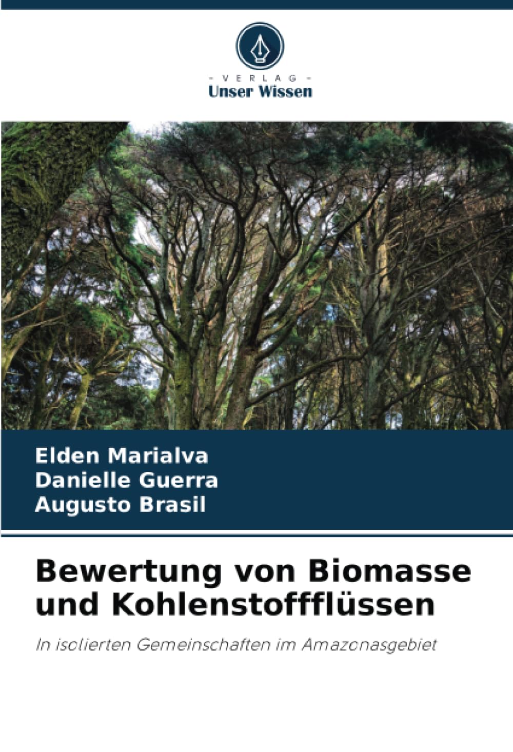 Bewertung von Biomasse und Kohlenstoffflüssen: In isolierten Gemeinschaften im Amazonasgebiet book