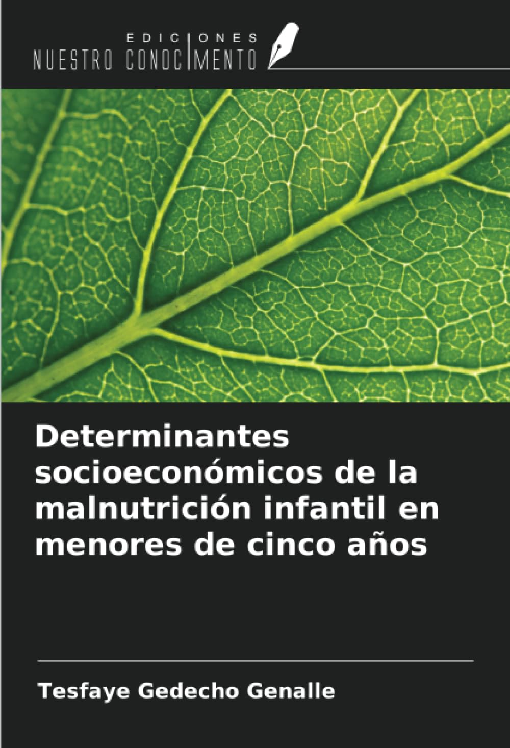 Determinantes socioeconómicos de la malnutrición infantil en menores de cinco años Books