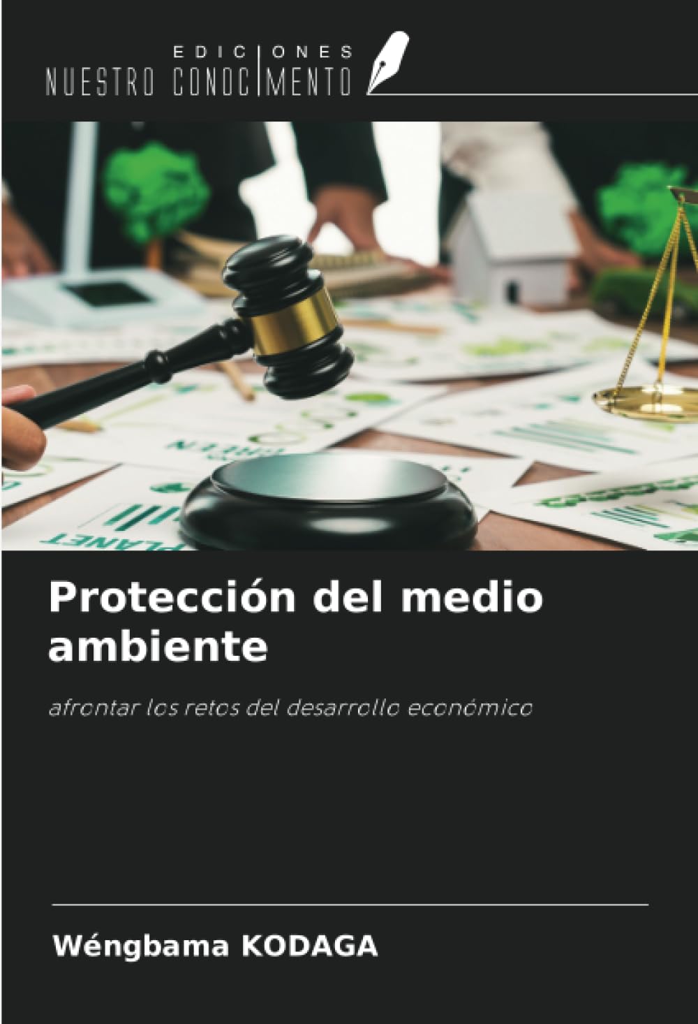 Protección del medio ambiente: afrontar los retos del desarrollo económico book