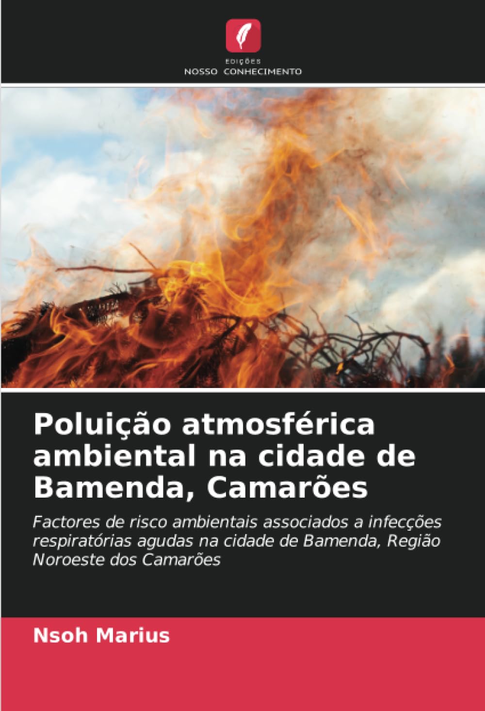 Poluição atmosférica ambiental na cidade de Bamenda, Camarões Medicine