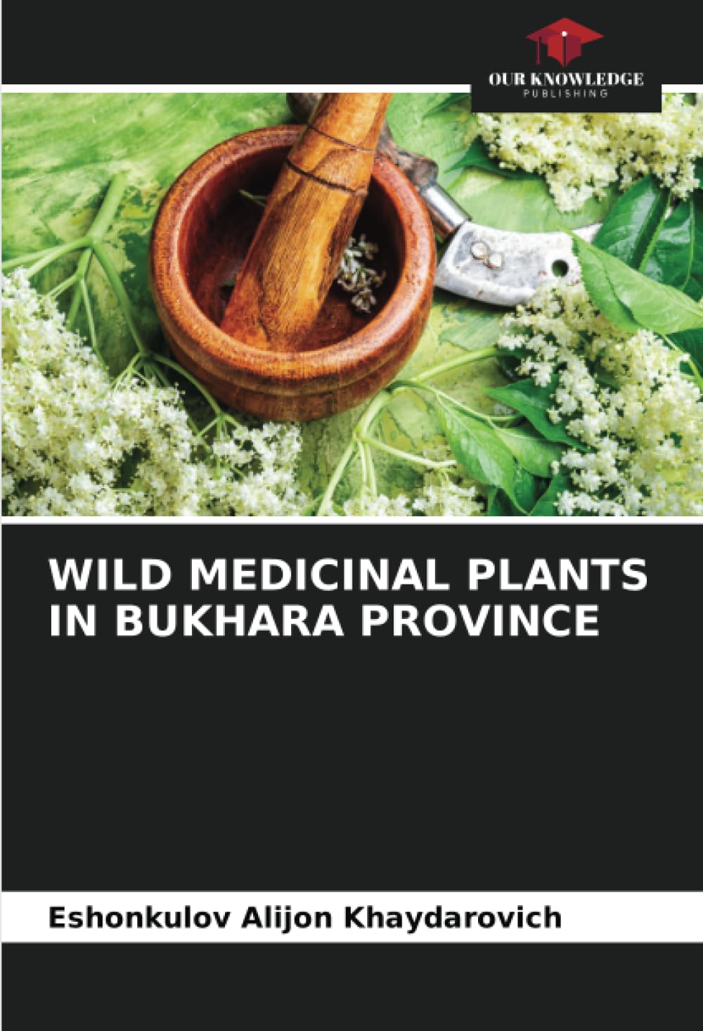 WILD MEDICINAL PLANTS IN BUKHARA PROVINCE Natural Sciences