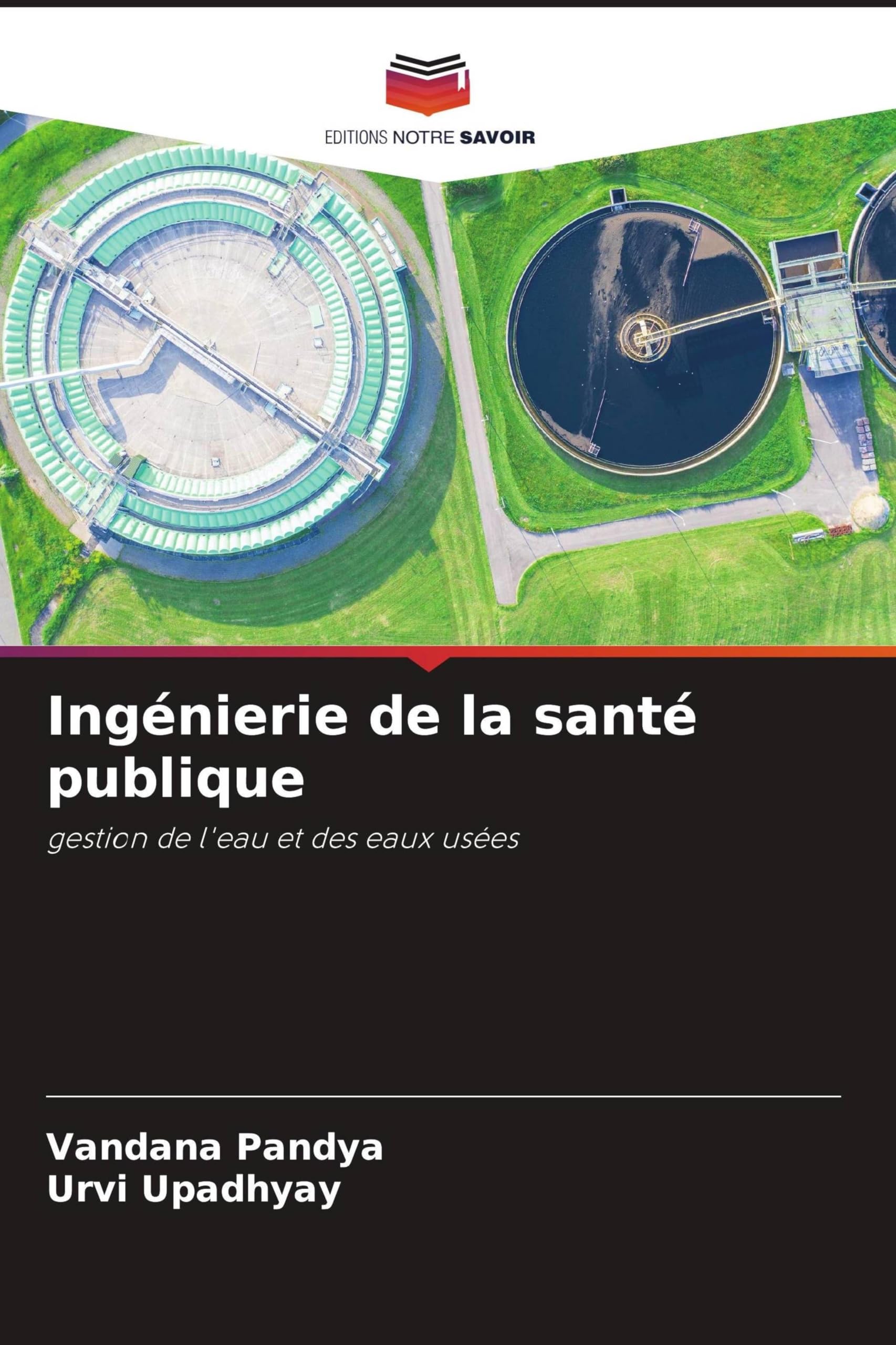 Ingénierie de la santé publique: gestion de l'eau et des eaux usées Medicine