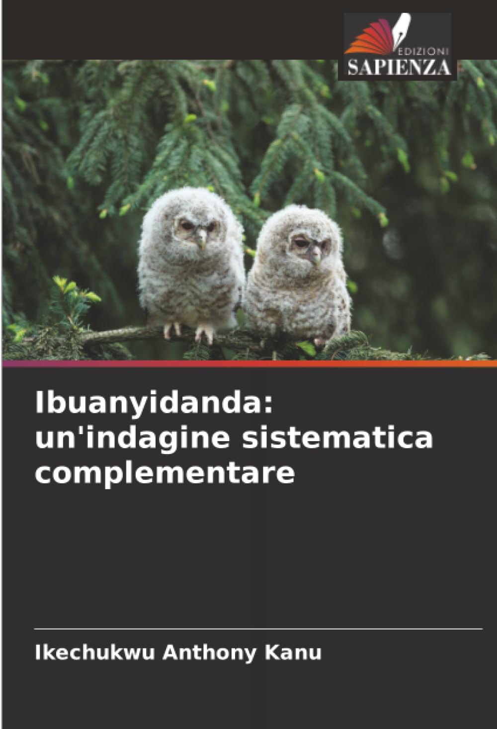 Product Image: Ibuanyidanda: un'indagine sistematica complementare