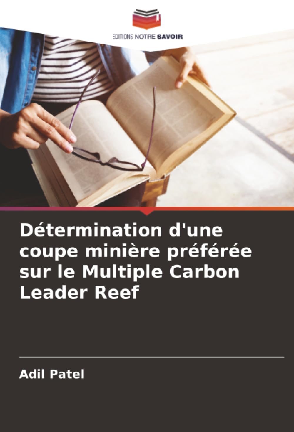 Détermination d'une coupe minière préférée sur le Multiple Carbon Leader Reef Business & Technology