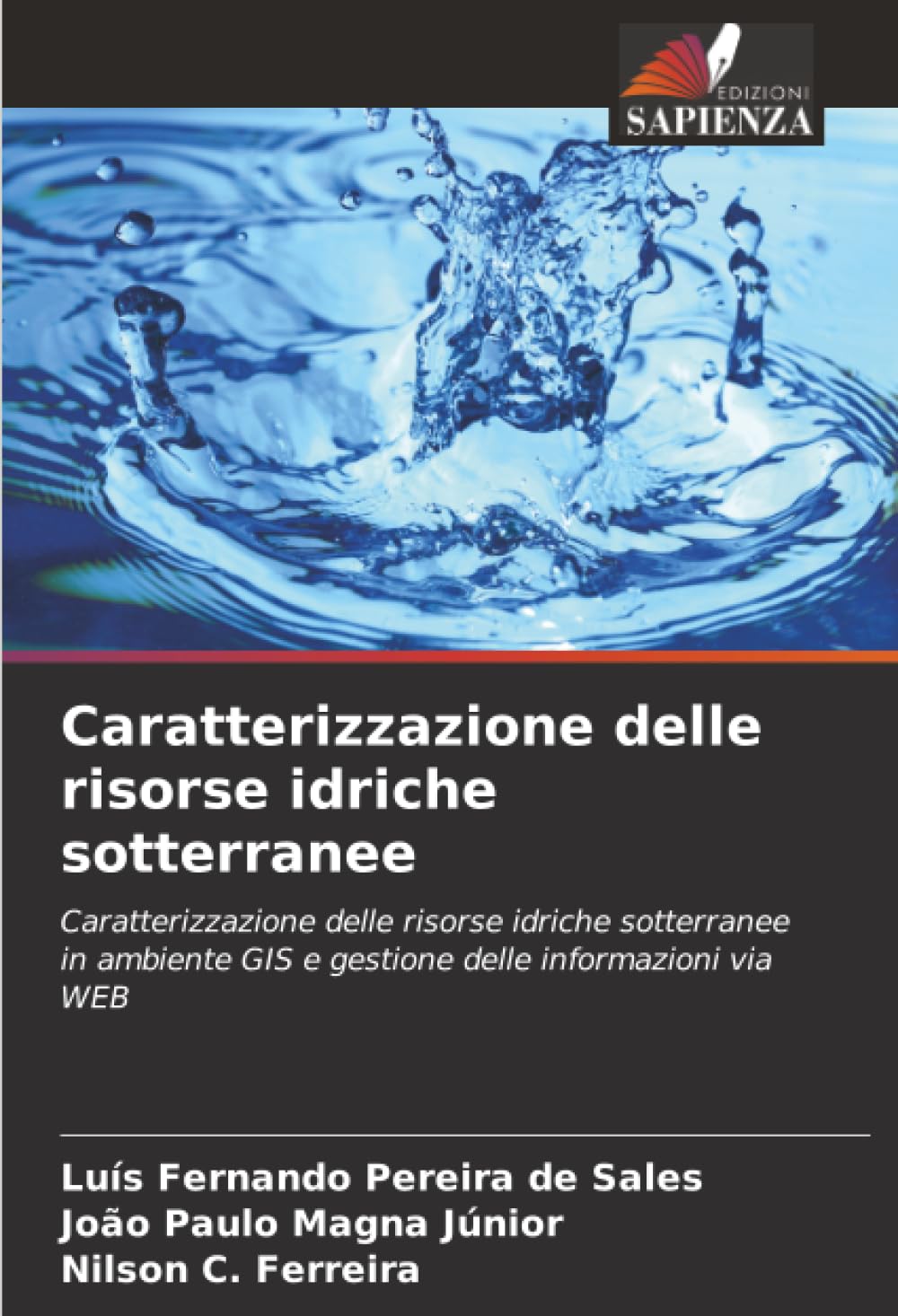 Caratterizzazione delle risorse idriche sotterranee Business & Technology