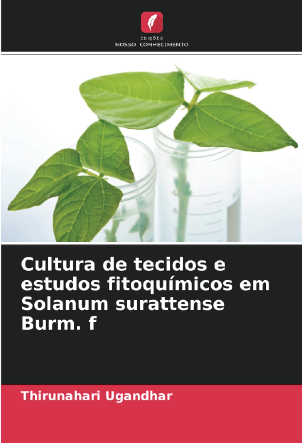 Cultura de tecidos e estudos fitoquímicos em Solanum surattense Burm. f Natural Sciences