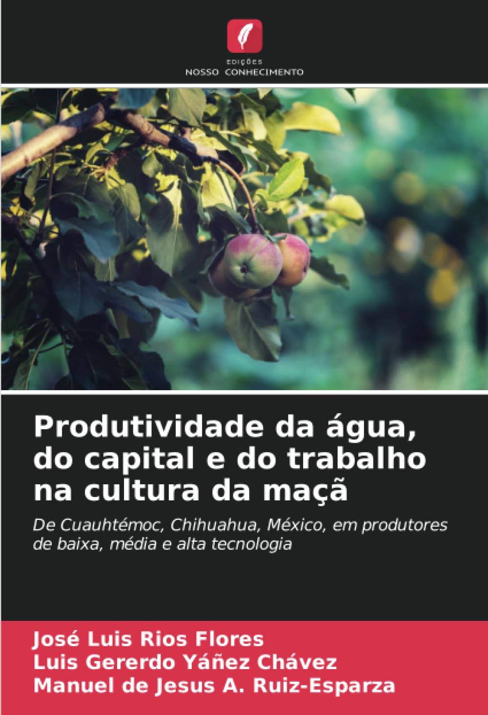 Produtividade da água, do capital e do trabalho na cultura da maçã Natural Sciences