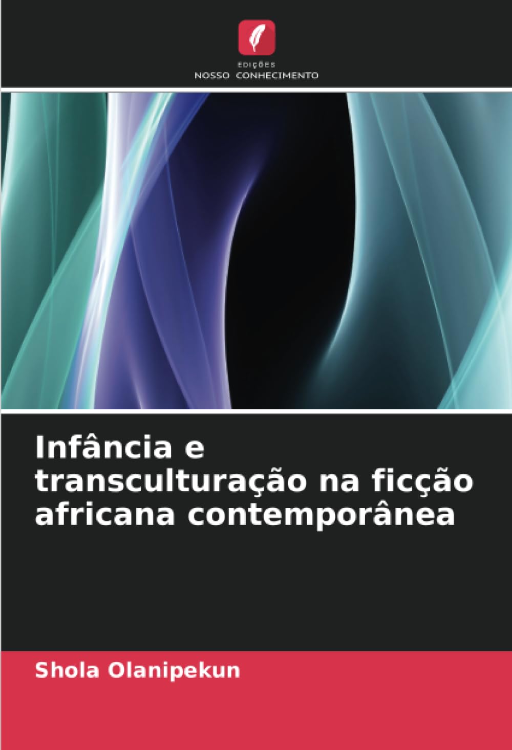 Infância e transculturação na ficção africana contemporânea Books