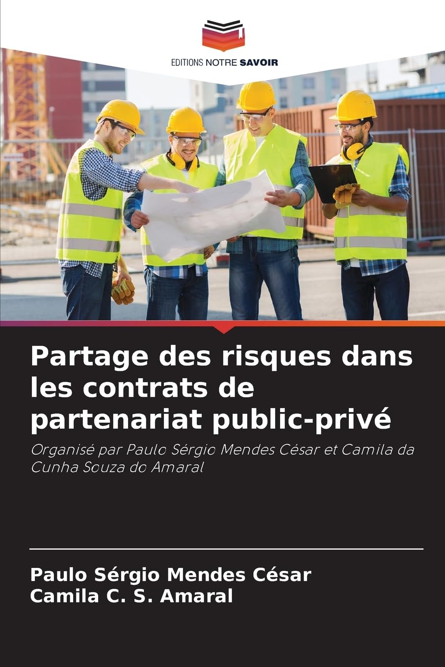 Partage des risques dans les contrats de partenariat public-privé: Organisé par Paulo Sérgio Mendes César et Camila da Cunha Souza do Amaral book