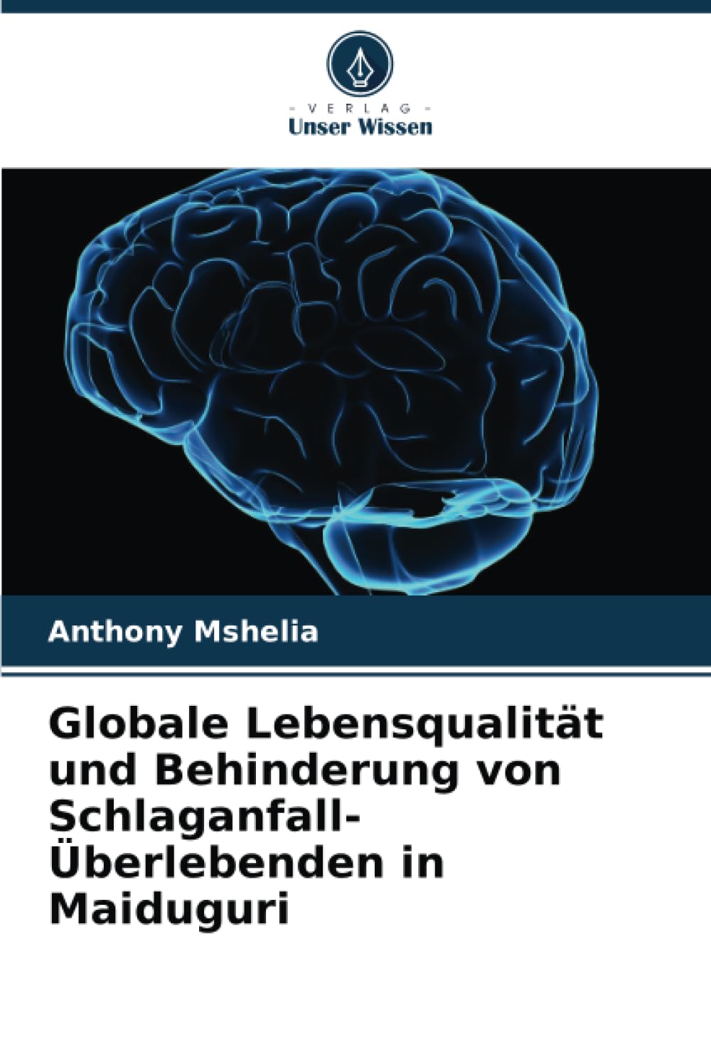 Globale Lebensqualität und Behinderung von Schlaganfall-Überlebenden in Maiduguri book
