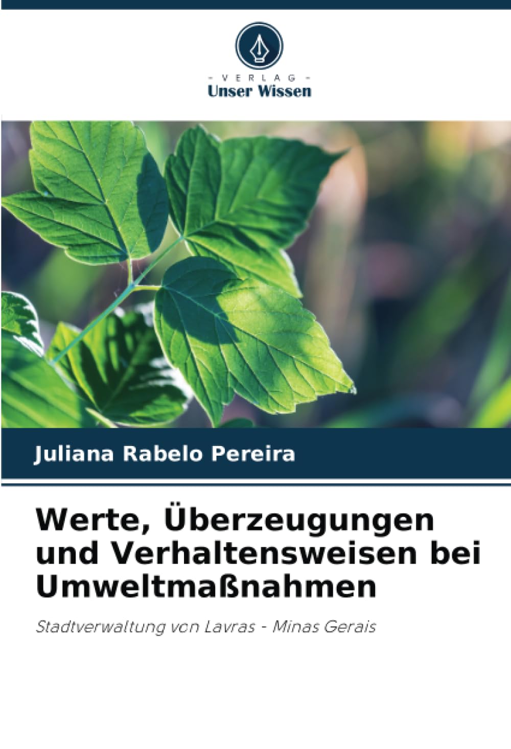 Werte, Überzeugungen und Verhaltensweisen bei Umweltmaßnahmen: Stadtverwaltung von Lavras - Minas Gerais Law