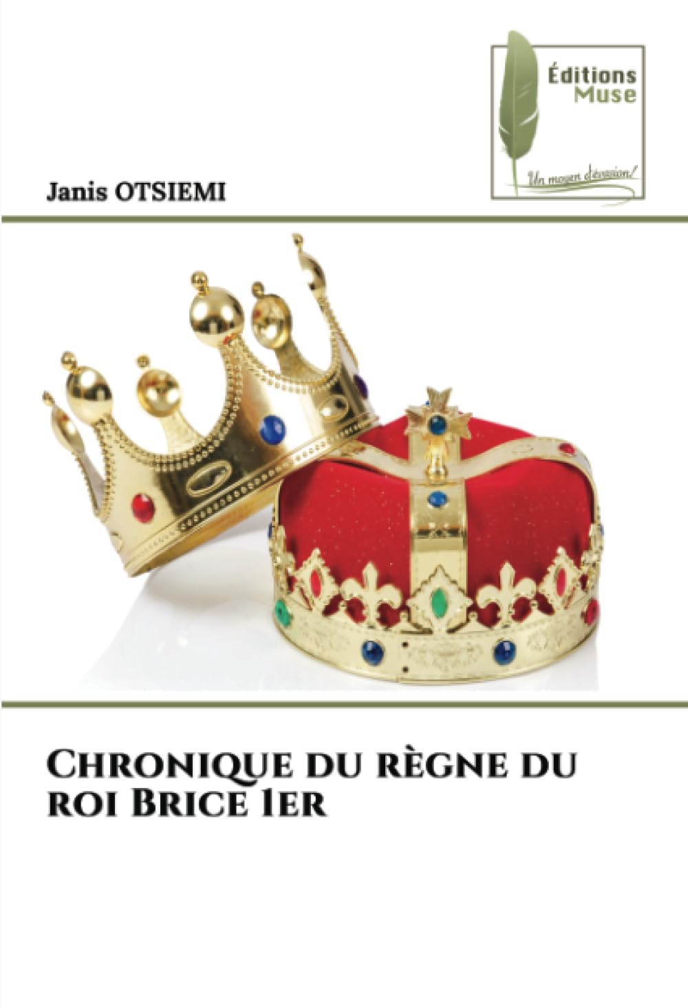 Chronique du règne du roi Brice 1er book