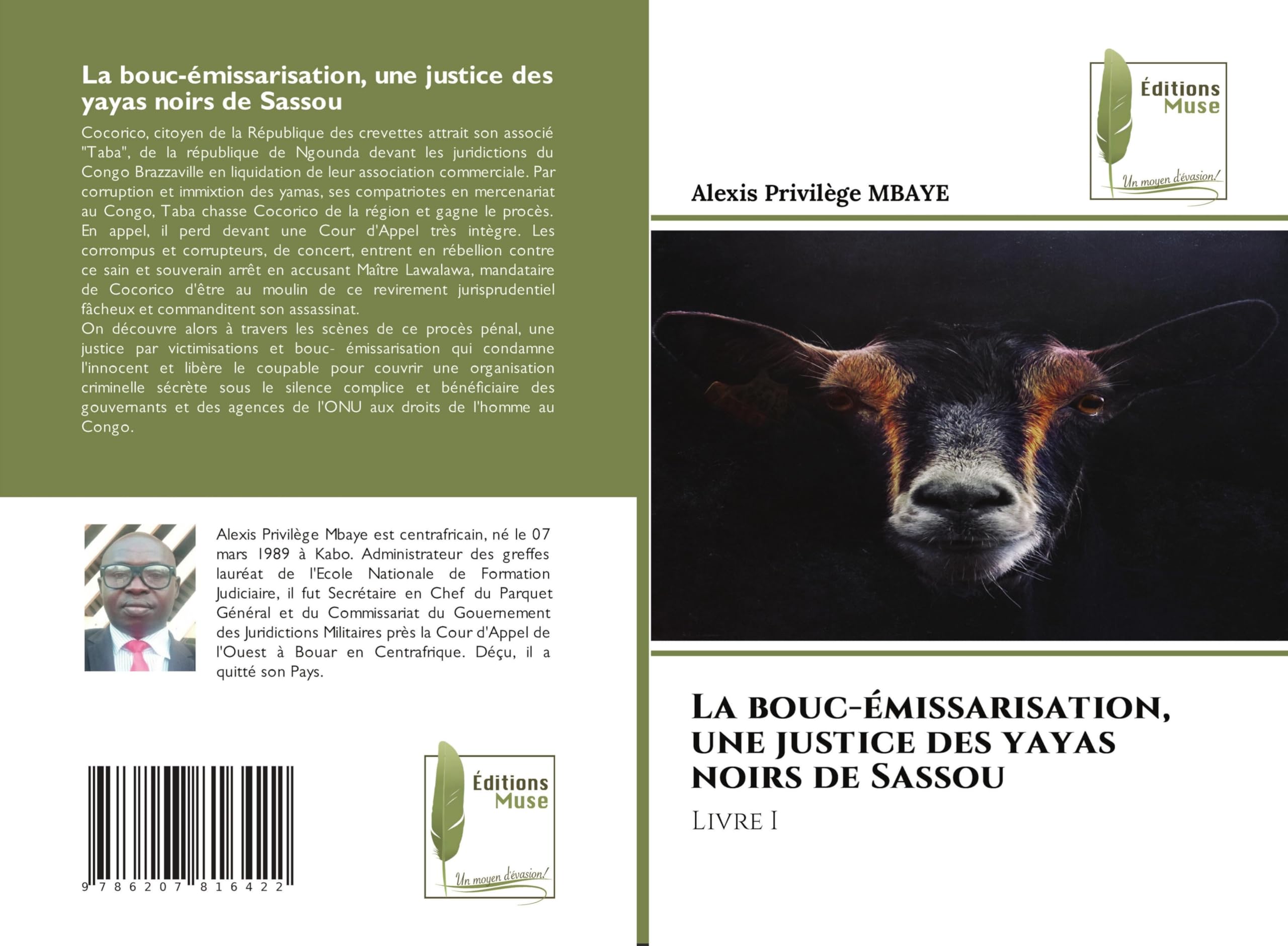 La bouc-émissarisation, une justice des yayas noirs de Sassou: Livre I Law