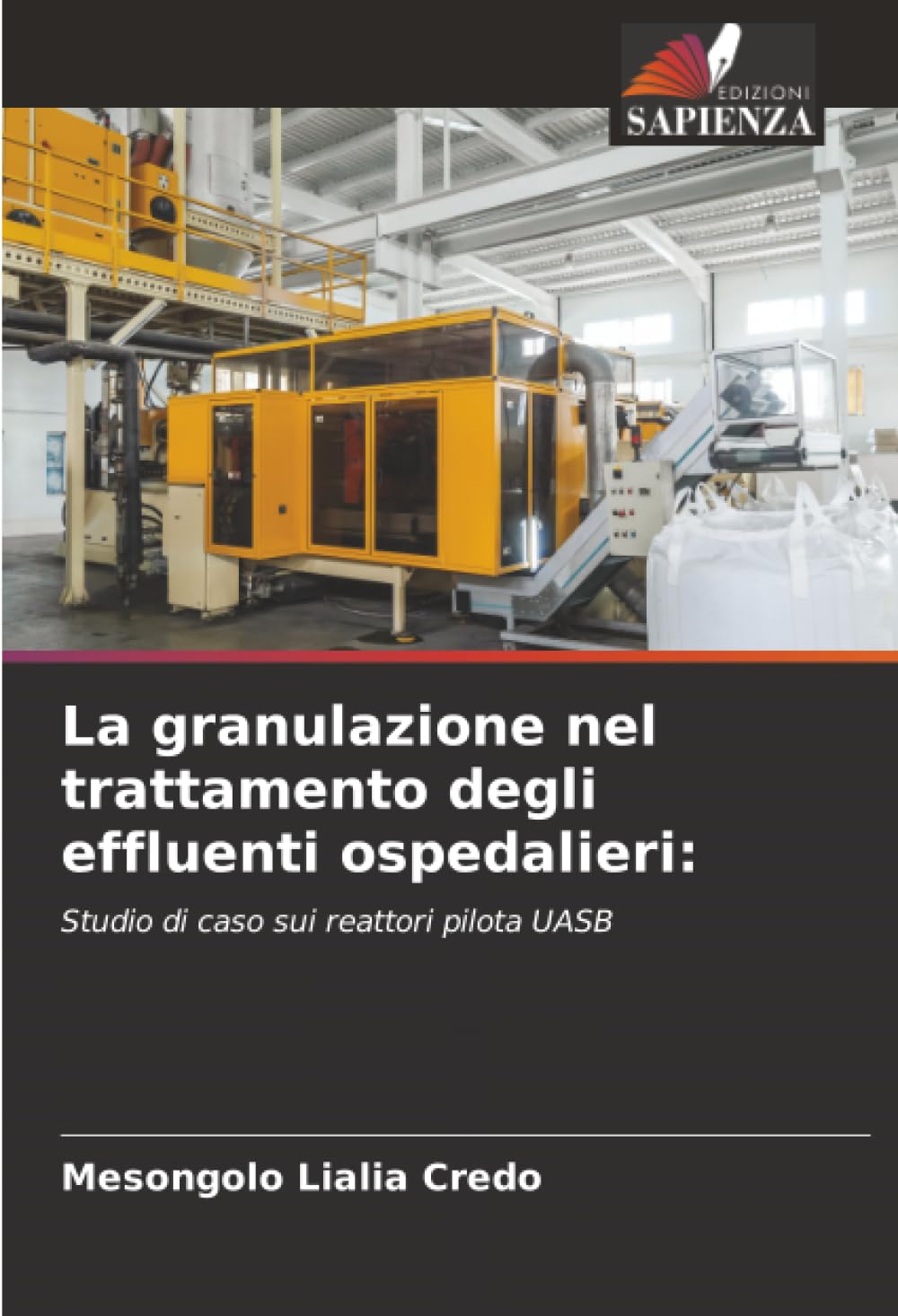 La granulazione nel trattamento degli effluenti ospedalieri:: Studio di caso sui reattori pilota UASB Natural Sciences