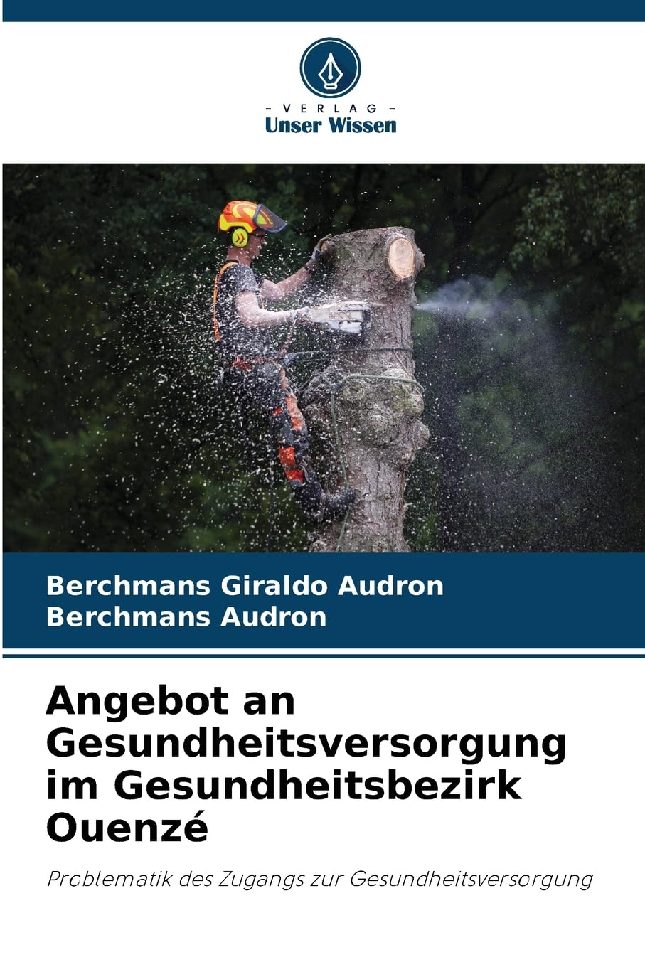 Angebot an Gesundheitsversorgung im Gesundheitsbezirk Ouenzé Medicine