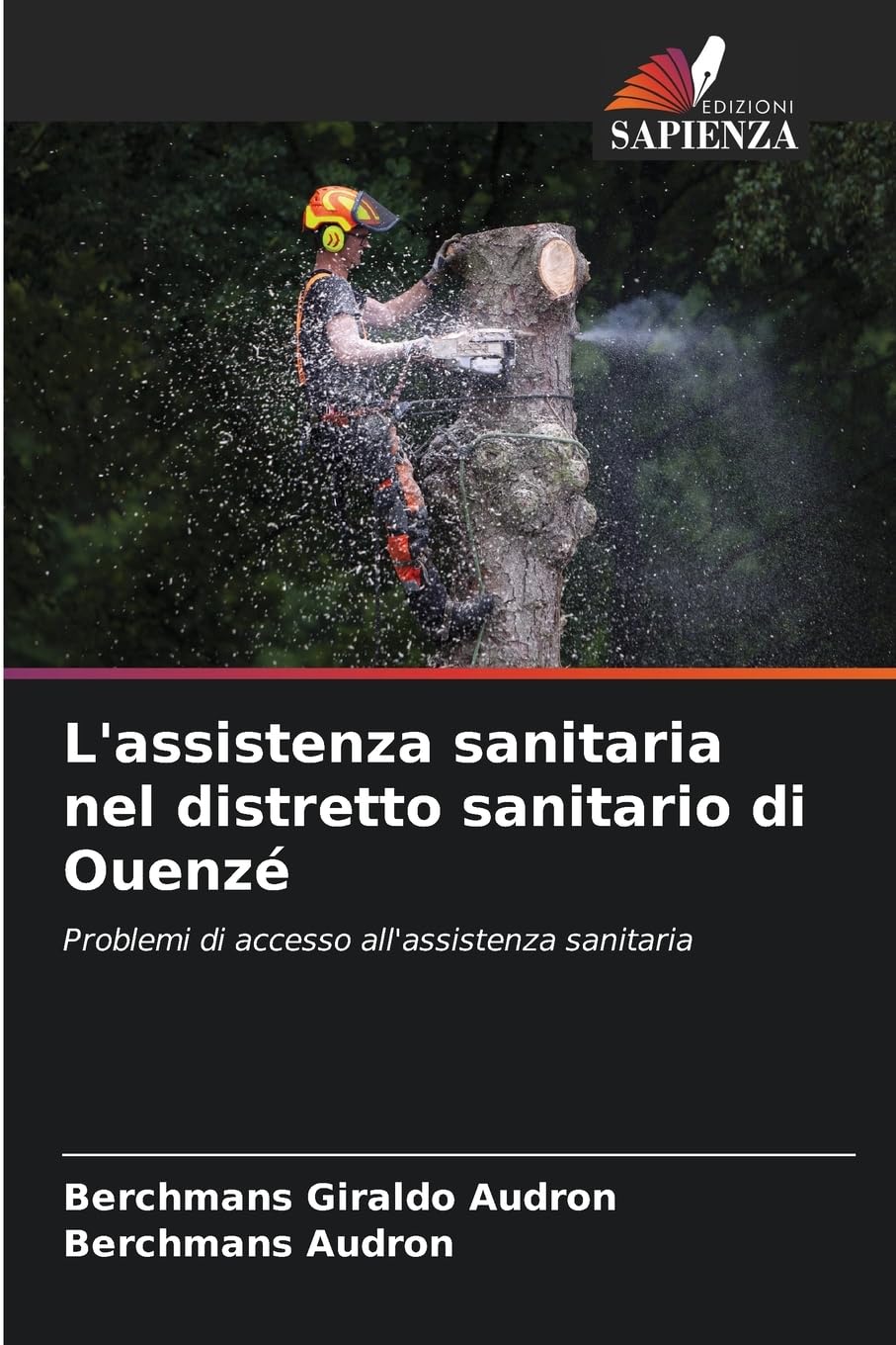 L'assistenza sanitaria nel distretto sanitario di Ouenzé: Problemi di accesso all'assistenza sanitaria Medicine