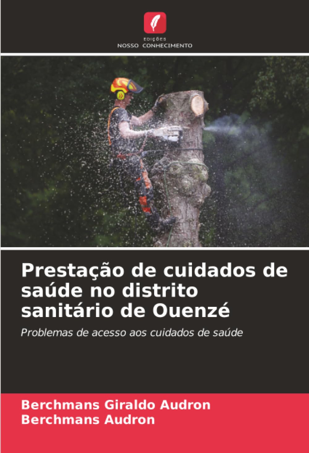Prestação de cuidados de saúde no distrito sanitário de Ouenzé Medicine Books