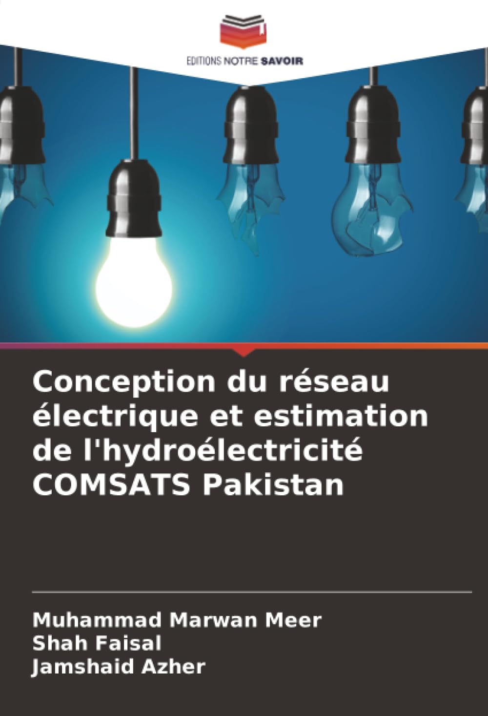 Conception du réseau électrique et estimation de l'hydroélectricité COMSATS Pakistan Natural Sciences
