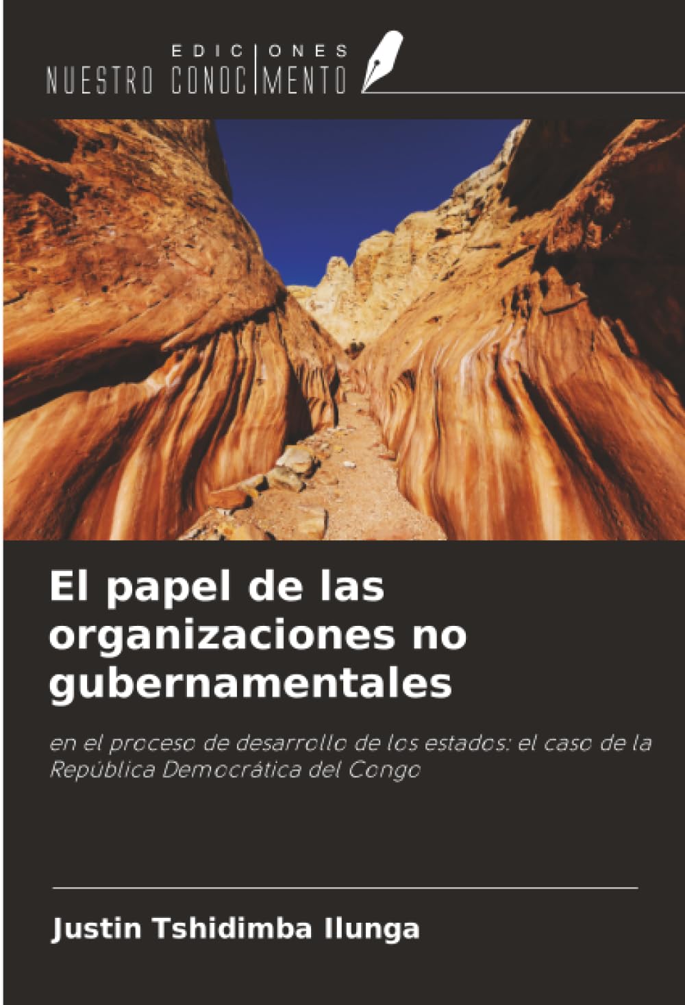 El papel de las organizaciones no gubernamentales Law
