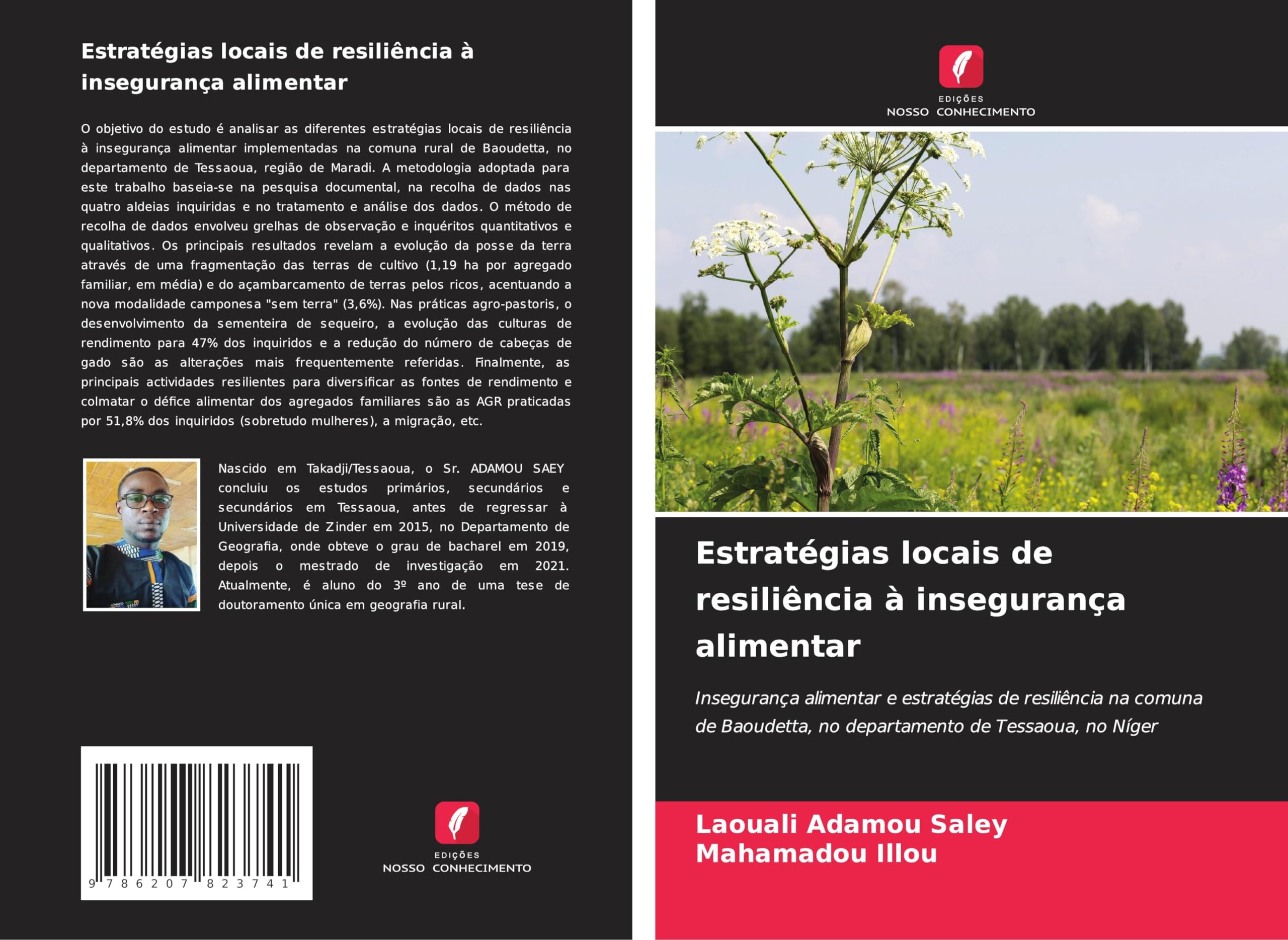 Estratégias locais de resiliência à insegurança alimentar: Insegurança alimentar e estratégias de resiliência na comuna de Baoudetta, no departamento de Tessaoua, no Níger Geology & Geography