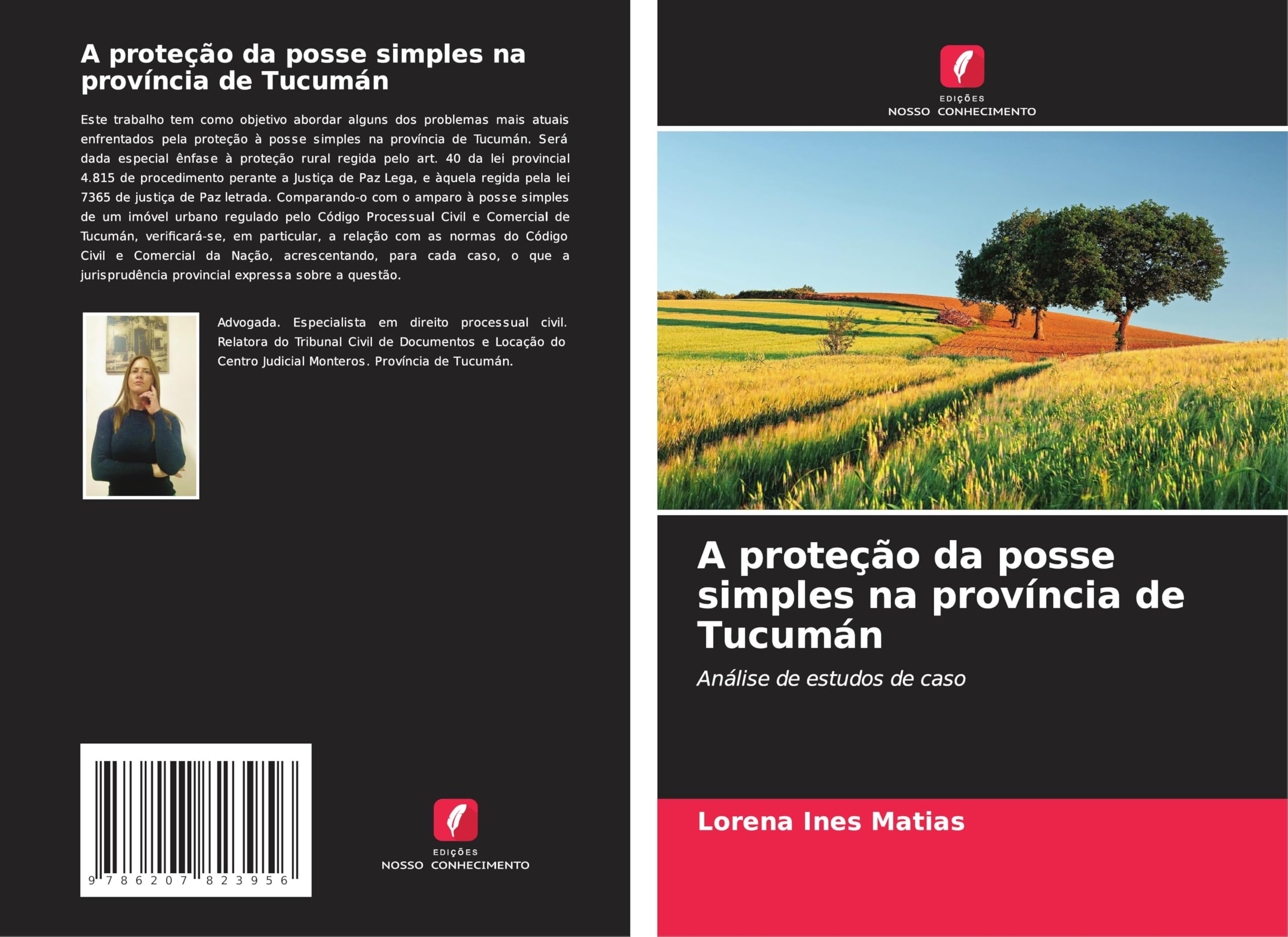 A proteção da posse simples na província de Tucumán: Análise de estudos de caso Law