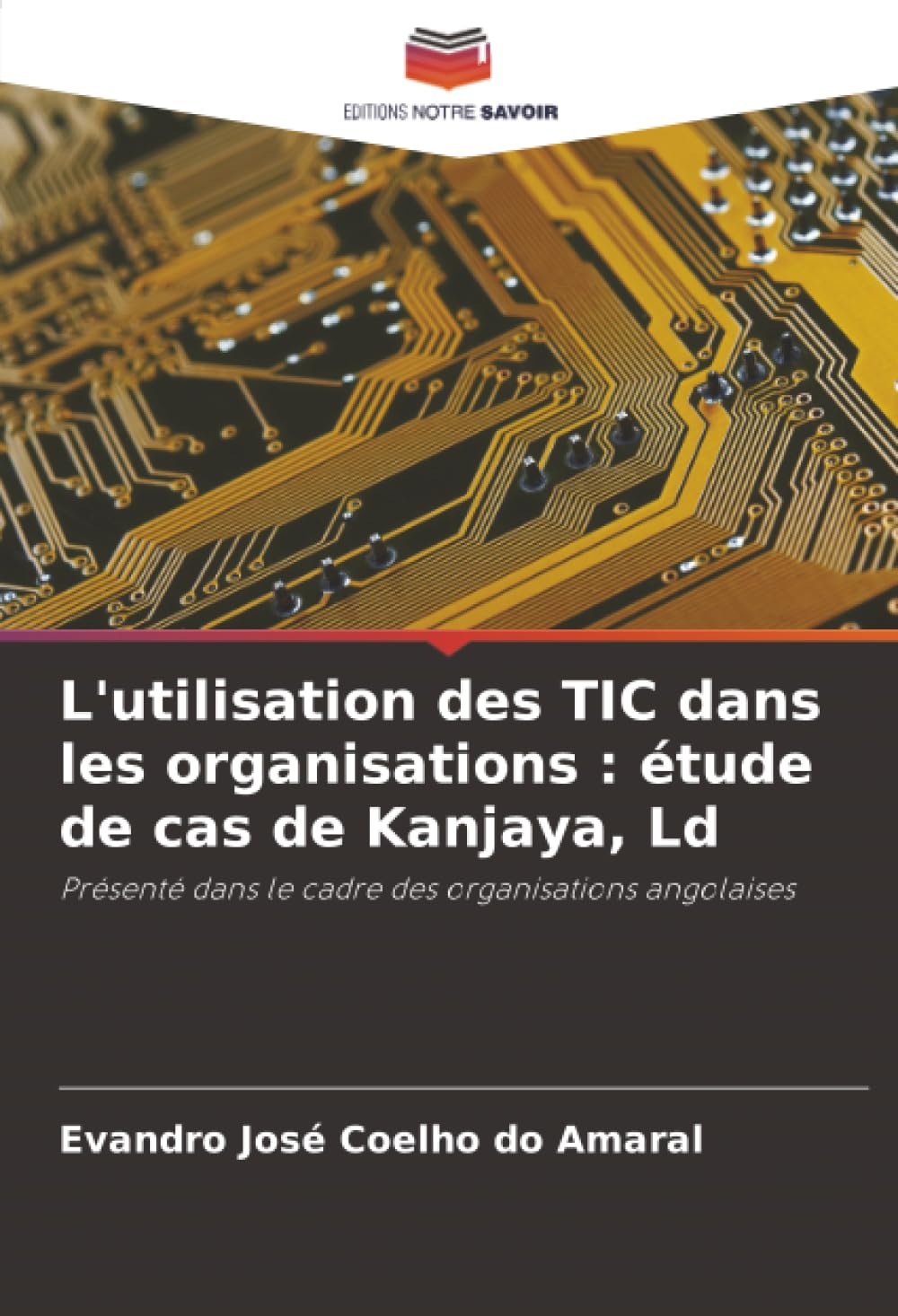 L'utilisation des TIC dans les organisations : étude de cas de Kanjaya, Ld Business & Technology