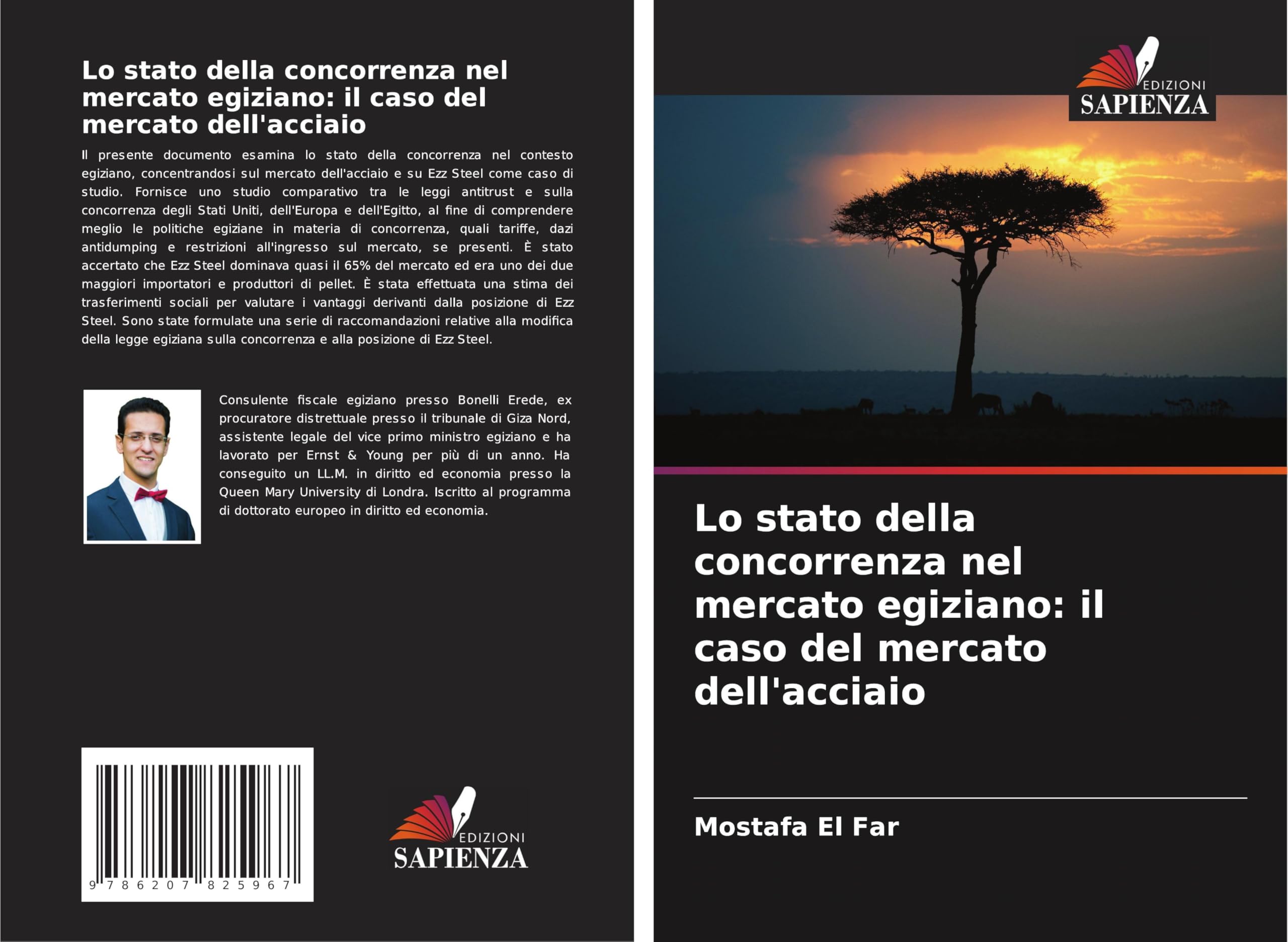 Lo stato della concorrenza nel mercato egiziano: il caso del mercato dell'acciaio Law