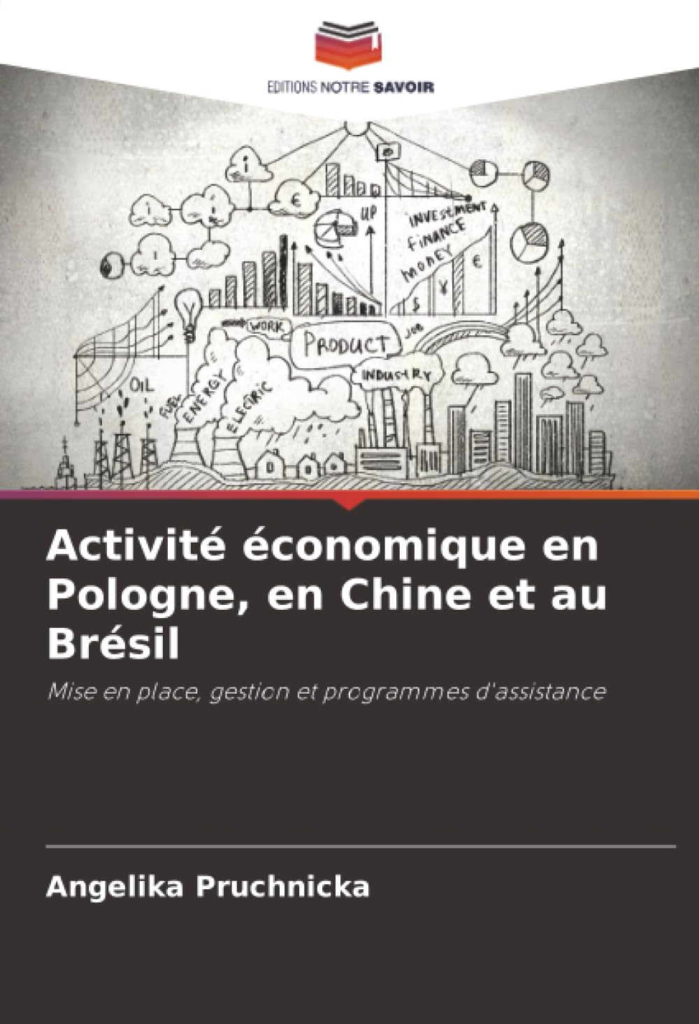 Activité économique en Pologne, en Chine et au Brésil: Mise en place, gestion et programmes d'assistance Law