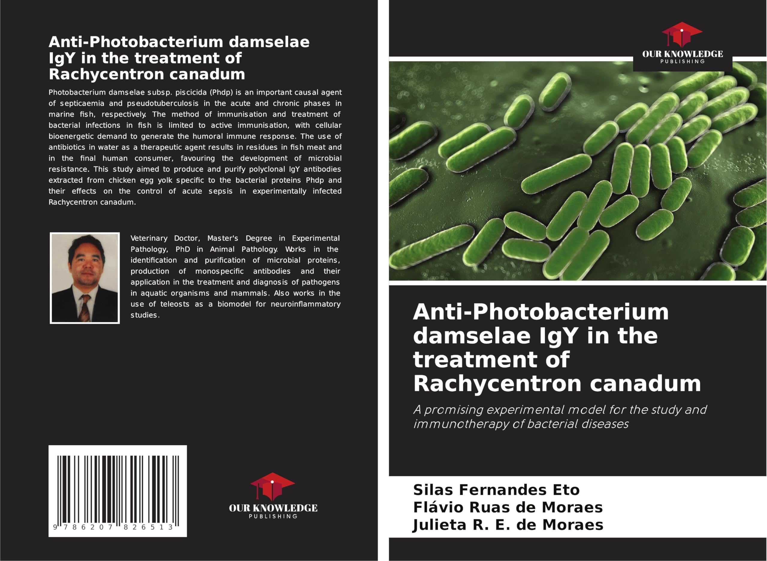 Anti-Photobacterium damselae IgY in the treatment of Rachycentron canadum: A promising experimental model for the study and immunotherapy of bacterial diseases Medicine