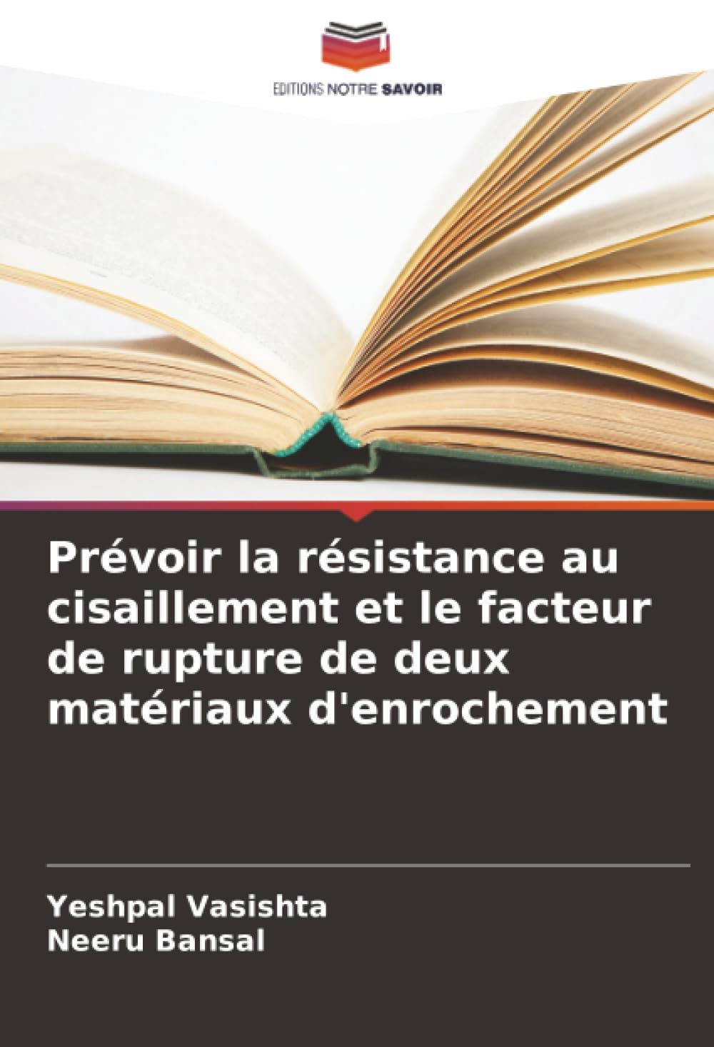 Prévoir la résistance au cisaillement et le facteur de rupture de deux matériaux d'enrochement Business & Technology