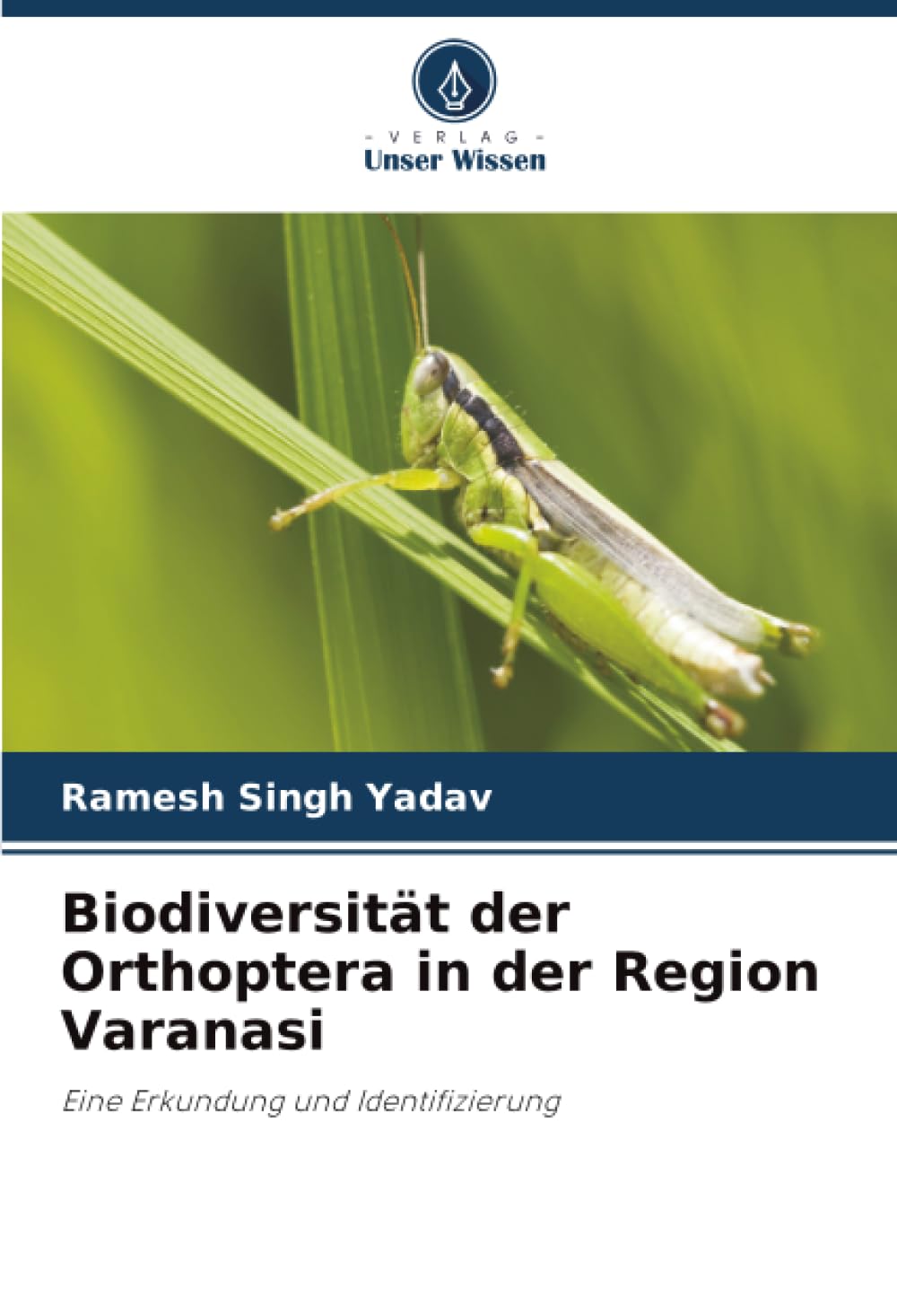 Biodiversität der Orthoptera in der Region Varanasi Business & Technology