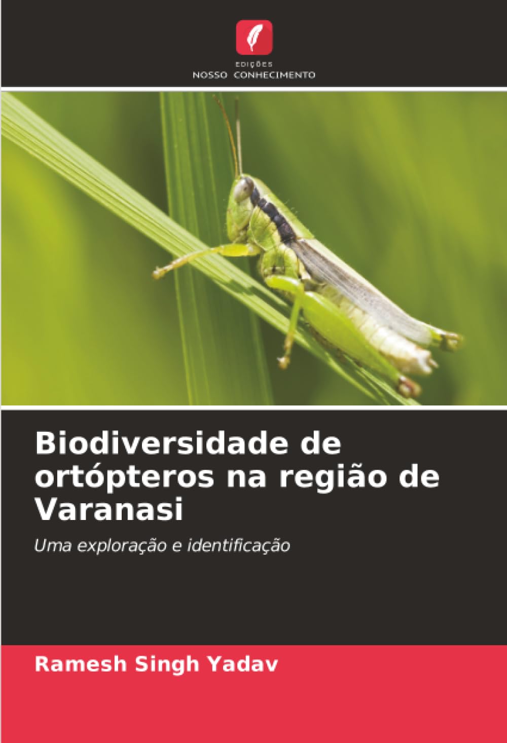 Biodiversidade de ortópteros na região de Varanasi Business & Technology