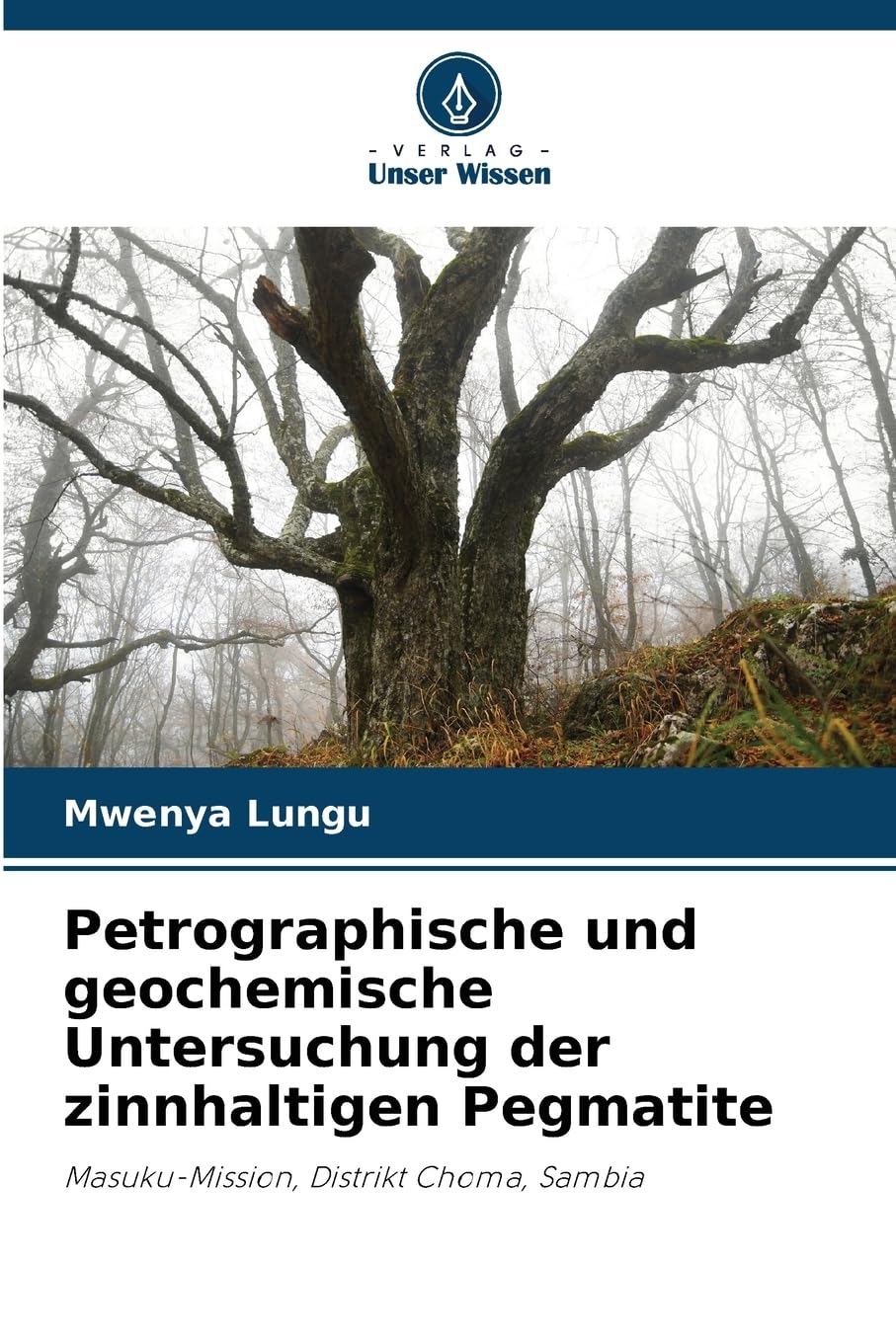 Petrographische und geochemische Untersuchung der zinnhaltigen Pegmatite Business & Technology