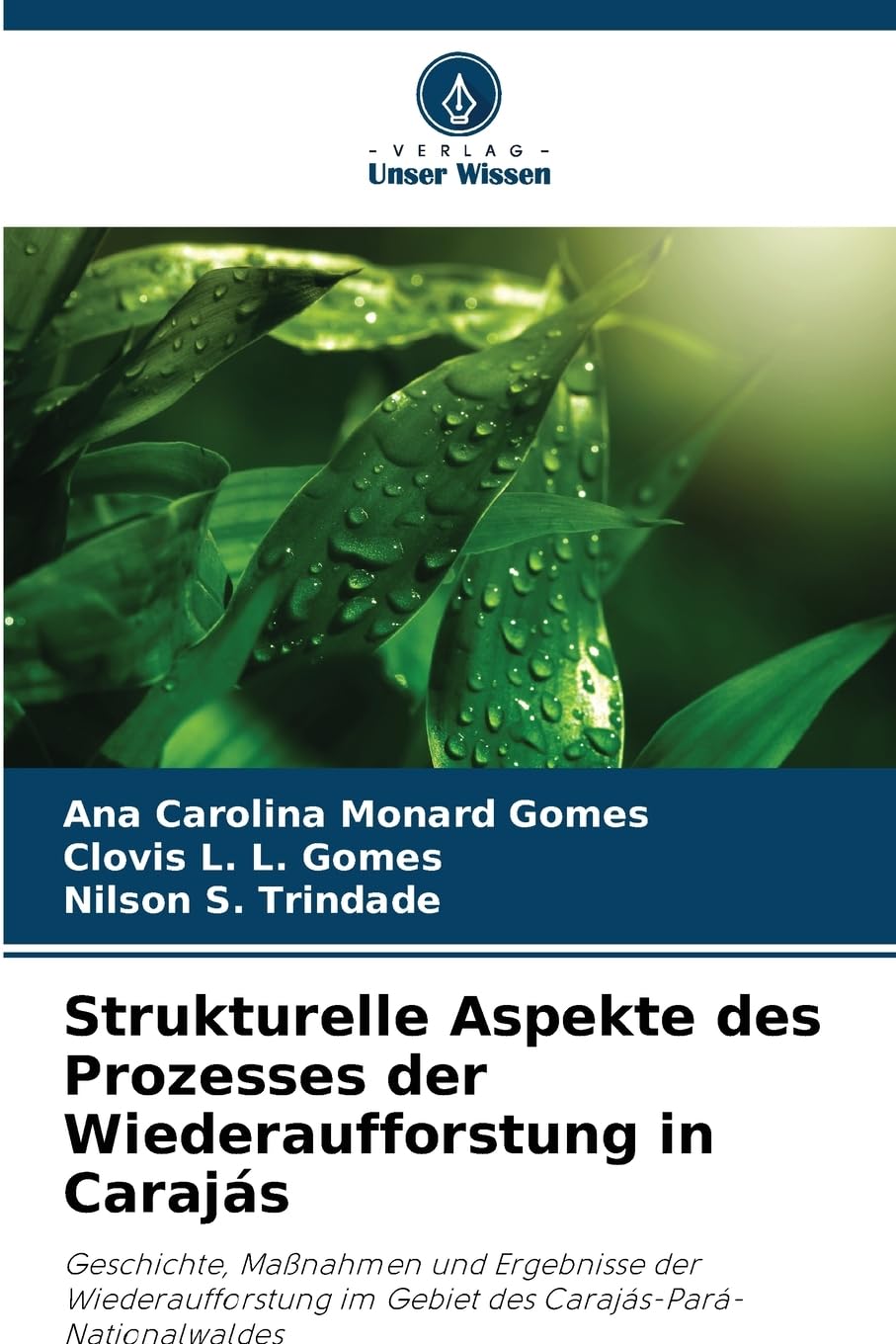 Strukturelle Aspekte des Prozesses der Wiederaufforstung in Carajás Business & Technology