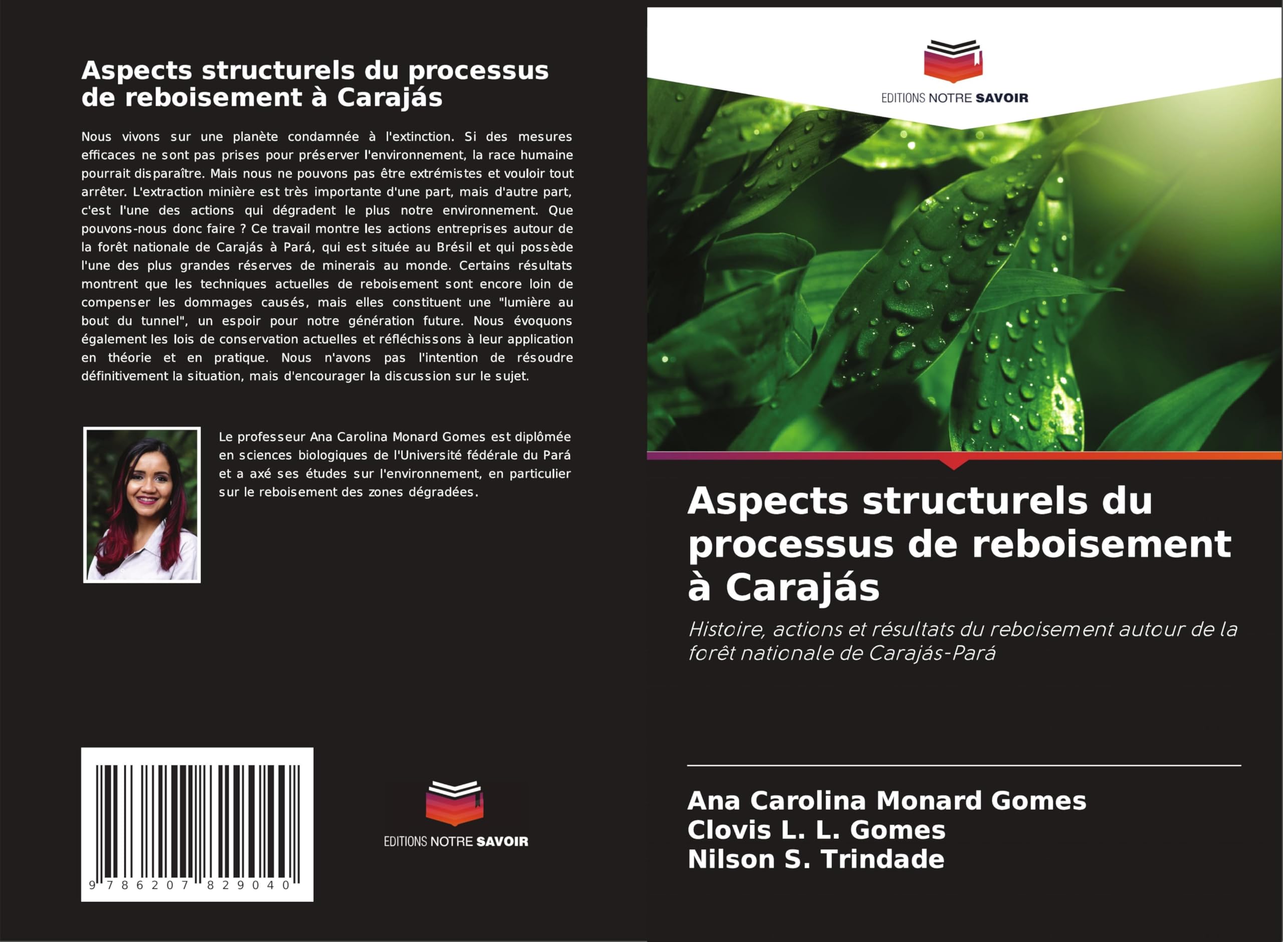 Aspects structurels du processus de reboisement à Carajás Business & Technology