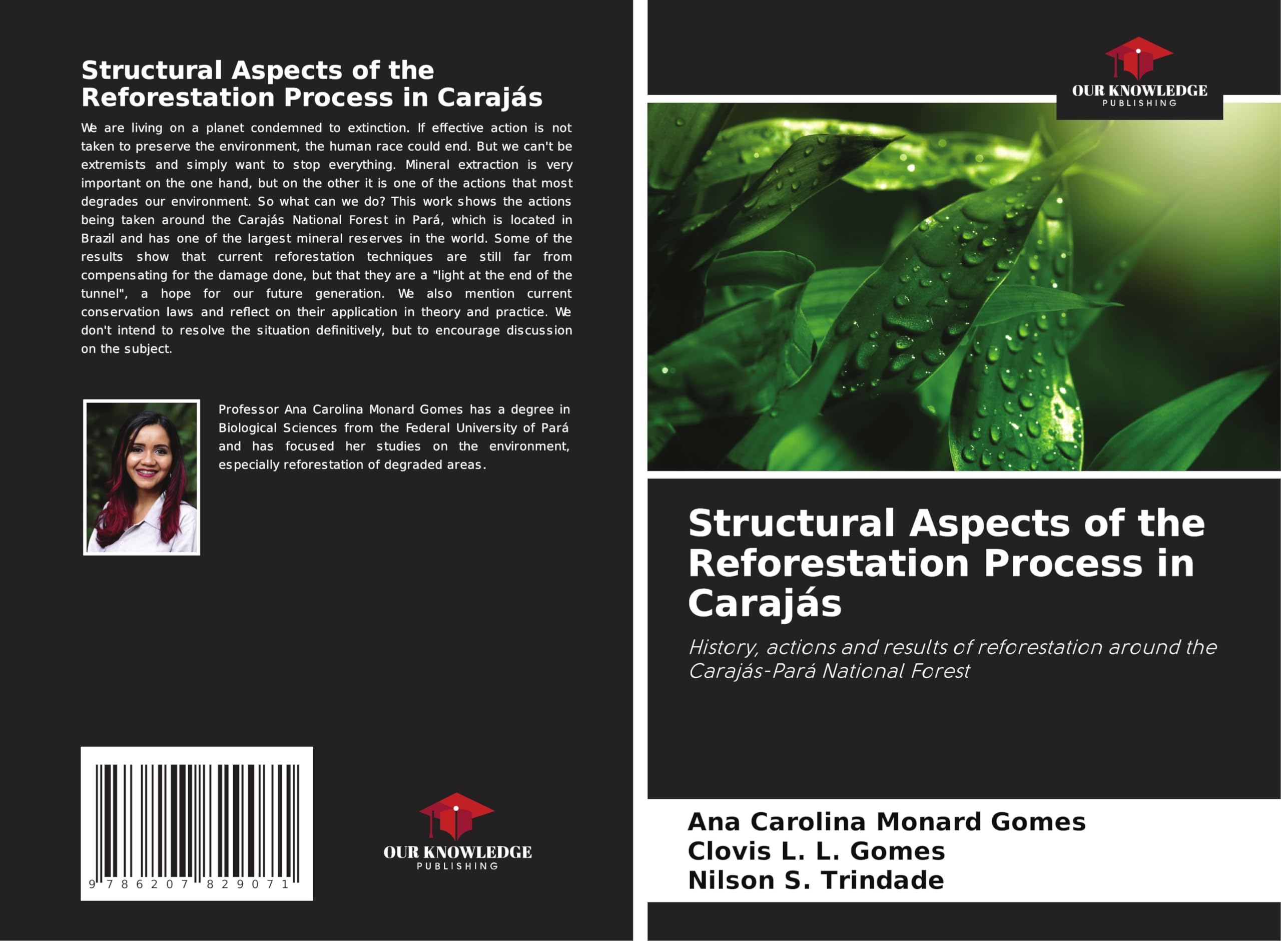 Structural Aspects of the Reforestation Process in Carajás Business & Technology