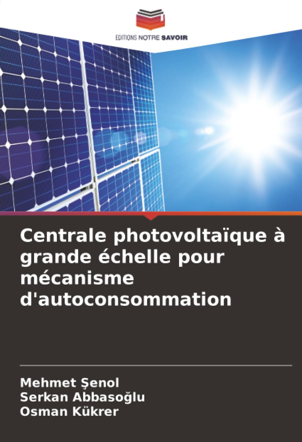 Centrale photovoltaïque à grande échelle pour mécanisme d'autoconsommation Law
