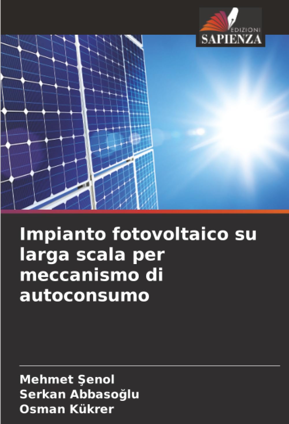 Impianto fotovoltaico su larga scala per meccanismo di autoconsumo Law