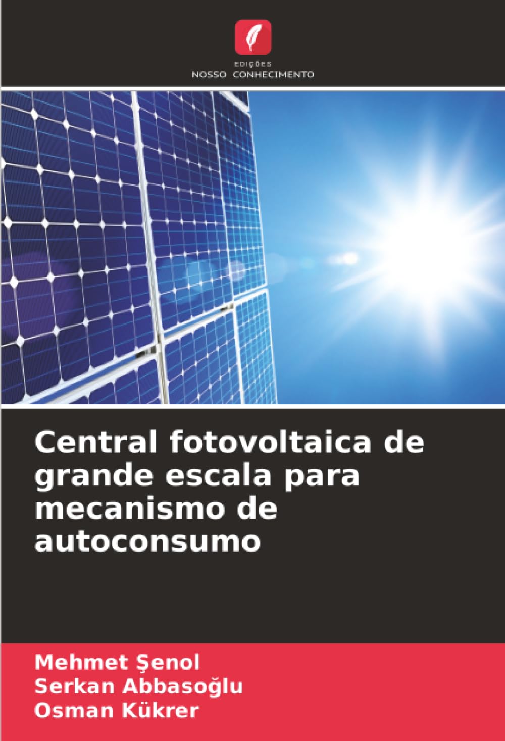 Central fotovoltaica de grande escala para mecanismo de autoconsumo Law