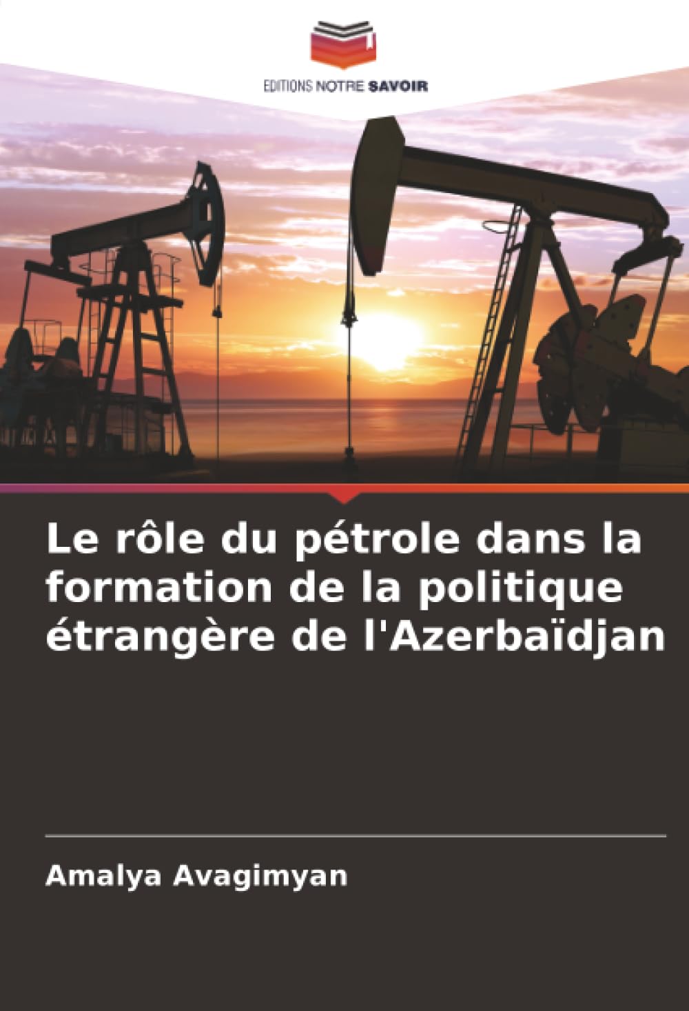 Le rôle du pétrole dans la formation de la politique étrangère de l'Azerbaïdjan Law