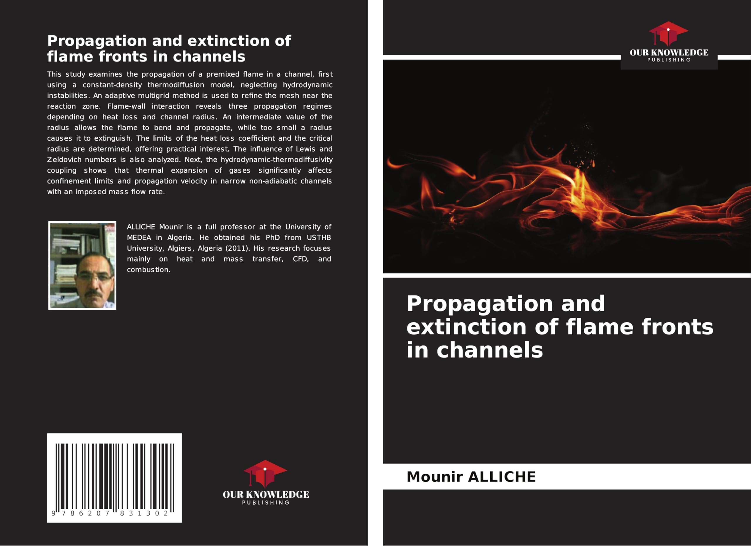 Propagation and extinction of flame fronts in channels Business & Technology