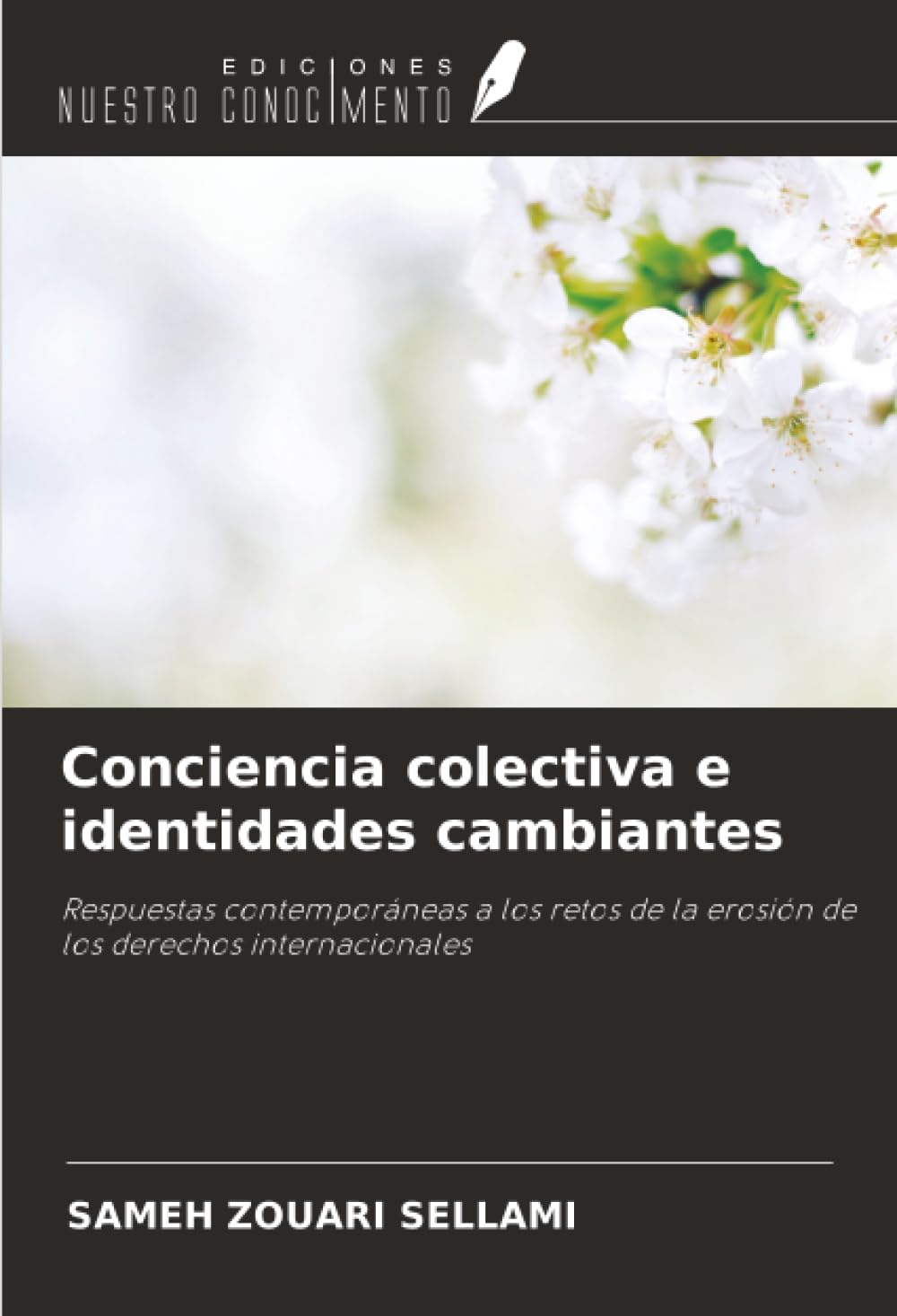 Conciencia colectiva e identidades cambiantes Law