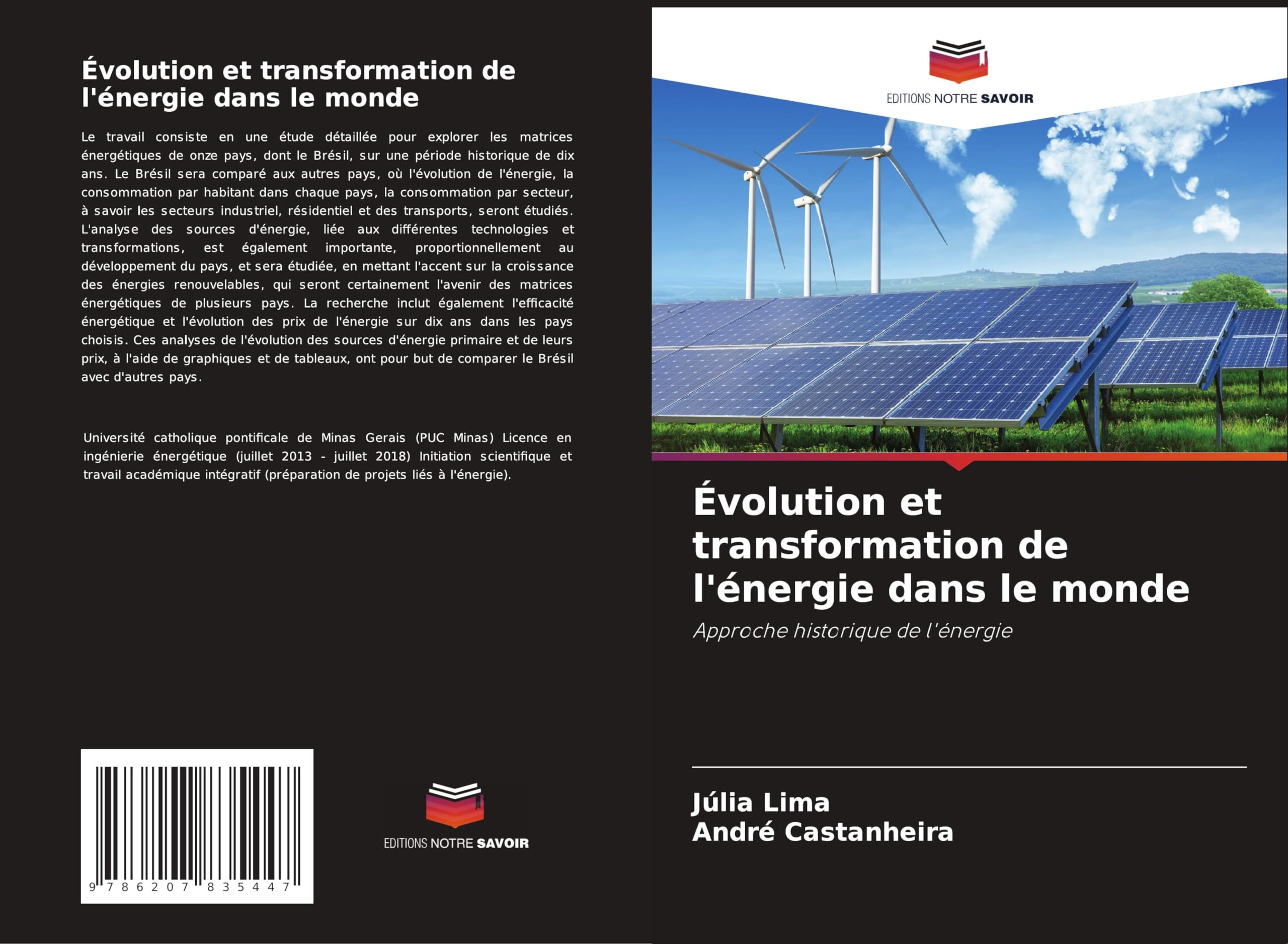 Évolution et transformation de l'énergie dans le monde: Approche historique de l'énergie Law