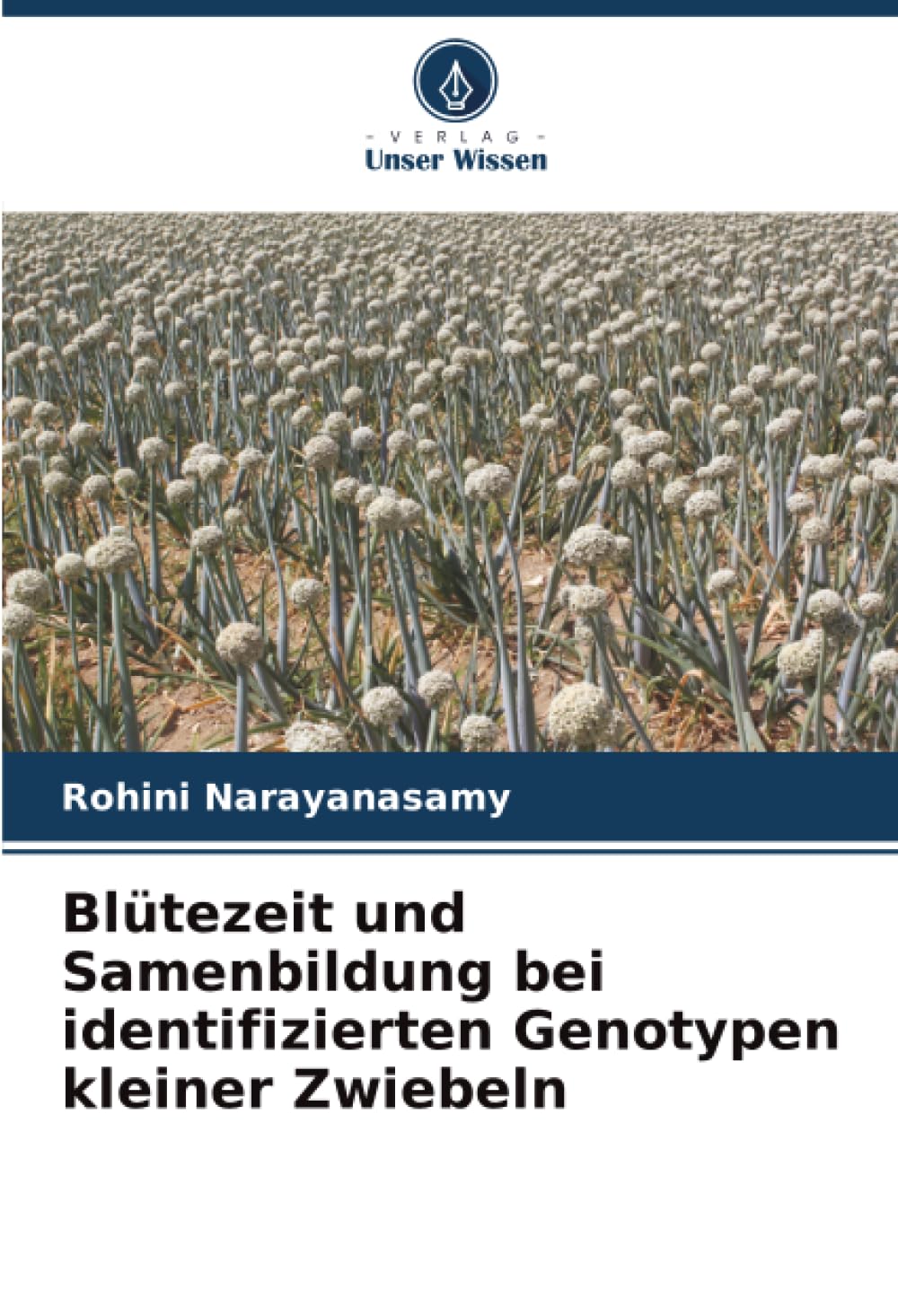 Blütezeit und Samenbildung bei identifizierten Genotypen kleiner Zwiebeln Natural Sciences