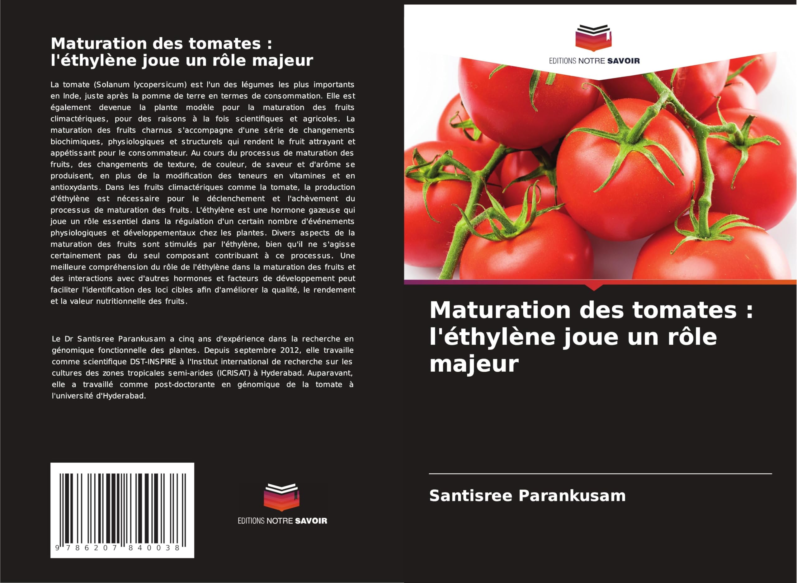 Maturation des tomates : l'éthylène joue un rôle majeur Natural Sciences