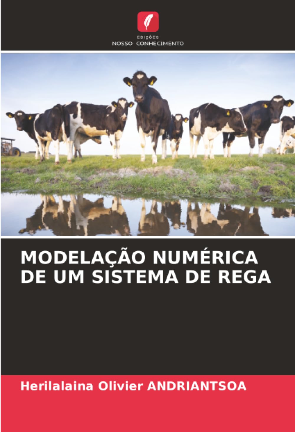 MODELAÇÃO NUMÉRICA DE UM SISTEMA DE REGA Business & Technology