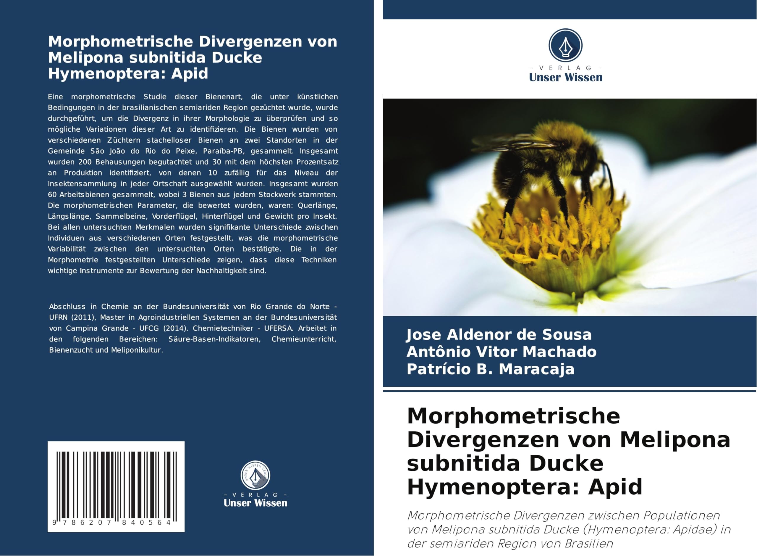 Morphometrische Divergenzen von Melipona subnitida Ducke Hymenoptera: Apid Natural Sciences
