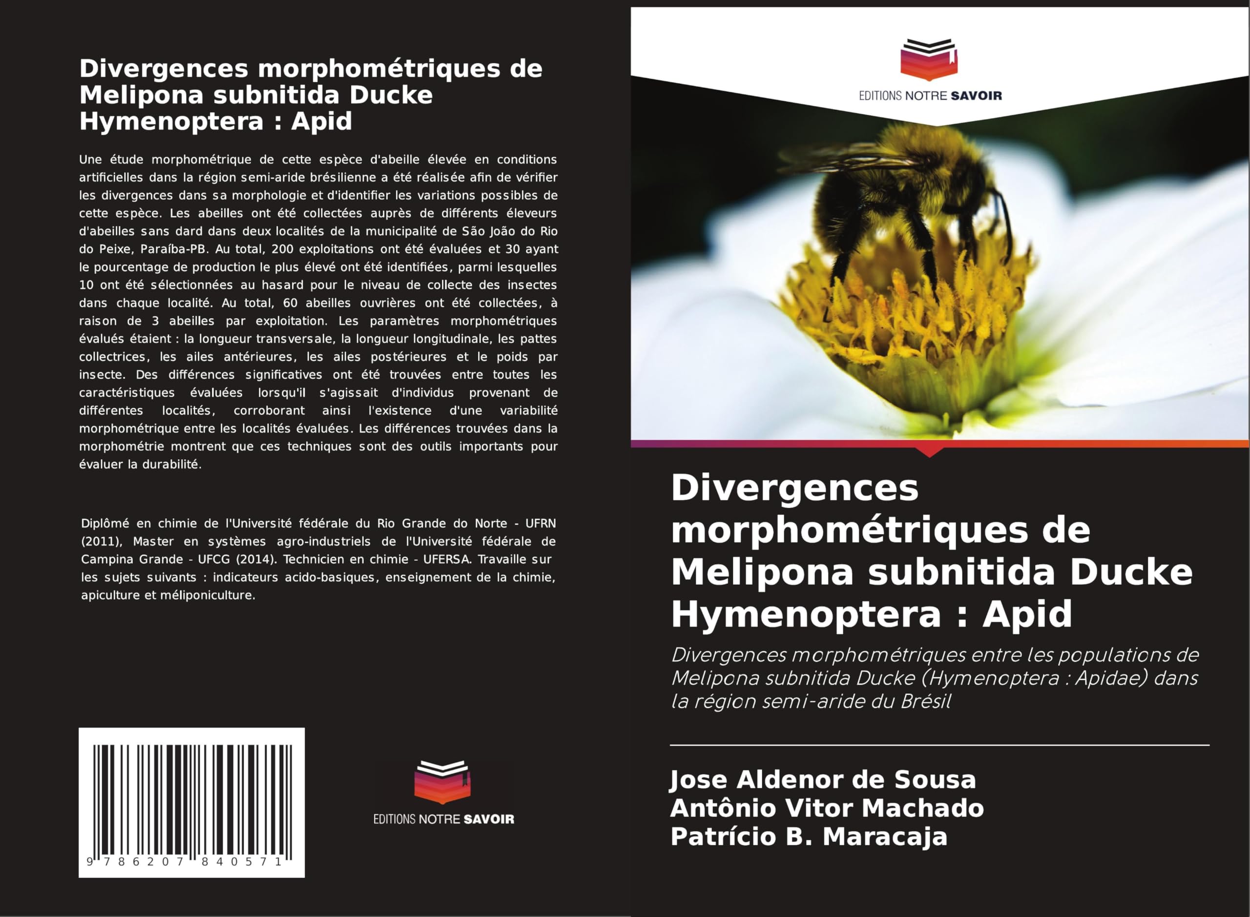 Divergences morphométriques de Melipona subnitida Ducke Hymenoptera : Apid Mathematics